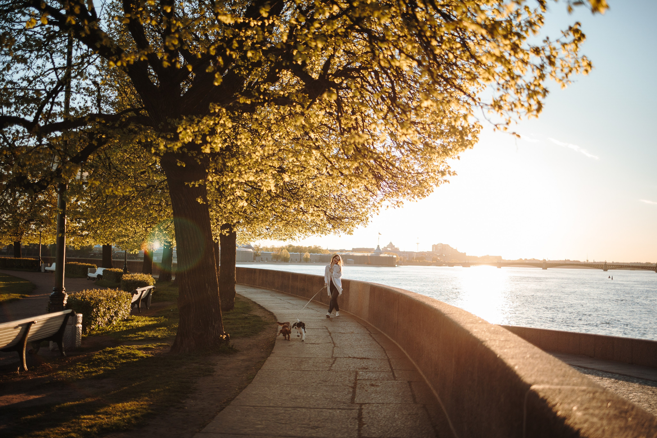 Аня, Стеша и Степан. Фотограф — Анималист | Санкт-Петербург