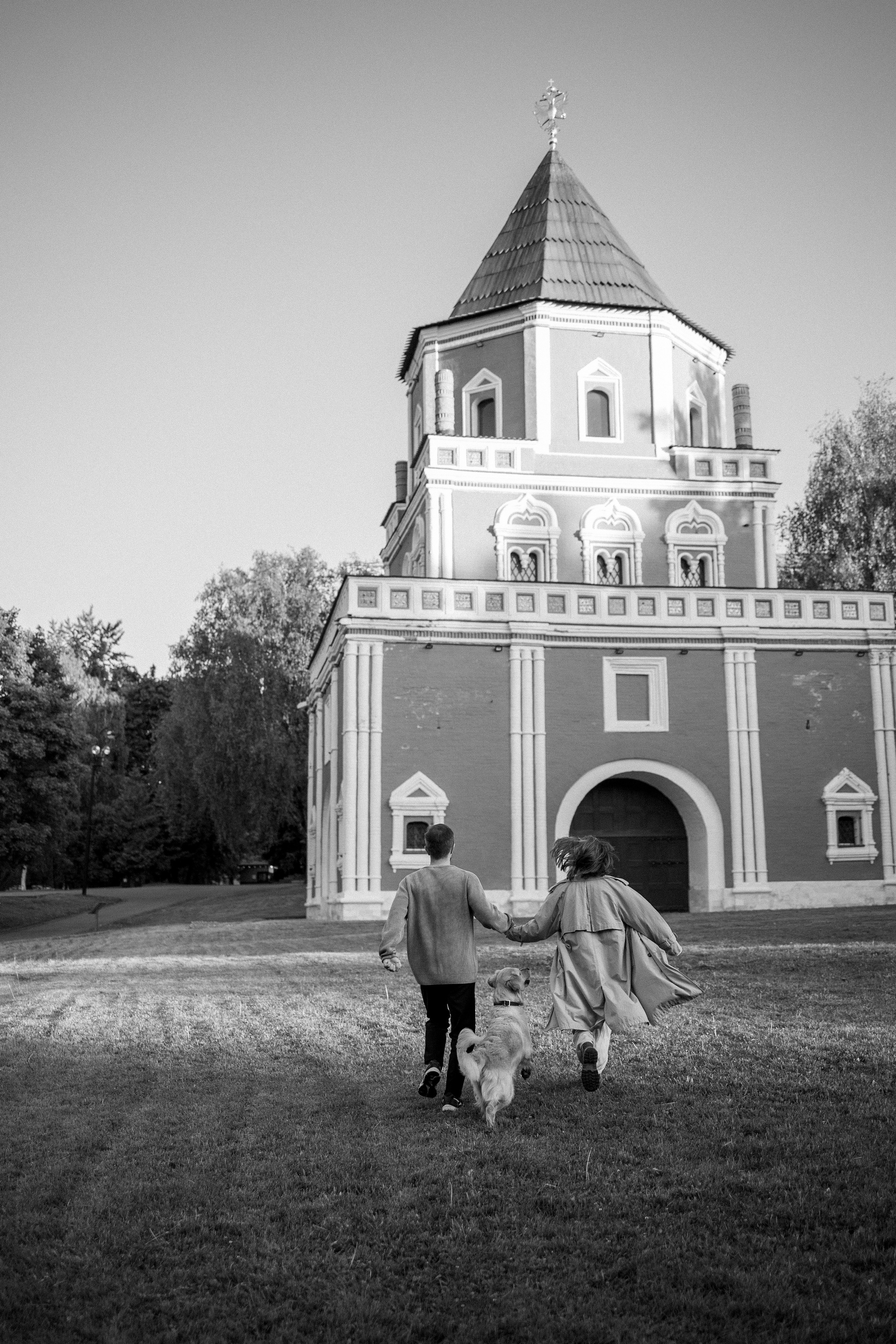 Пенни и ребята. Фотограф — Анималист | Санкт-Петербург