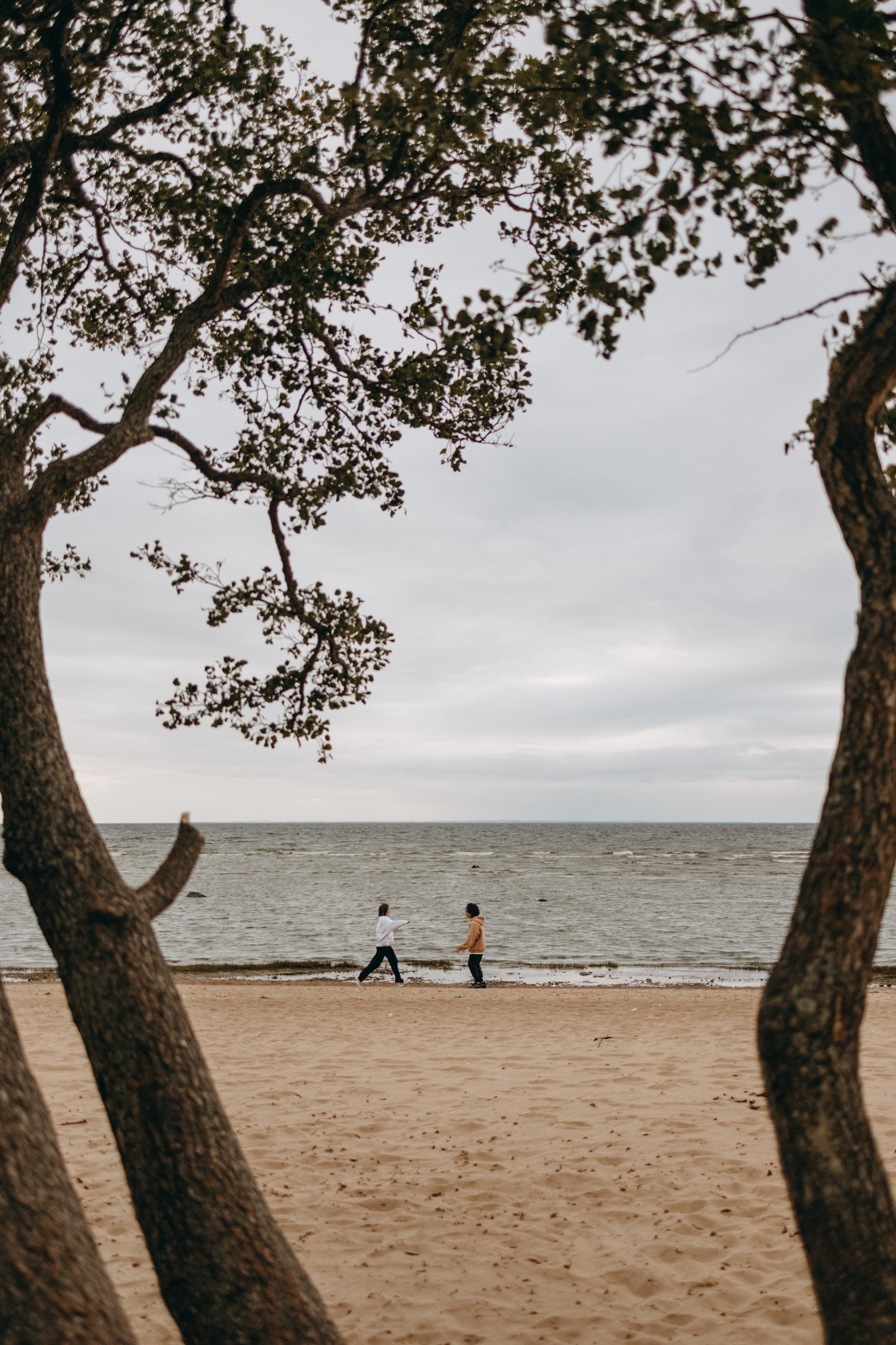 Фоси и его семьи. Фотограф — Анималист | Санкт-Петербург