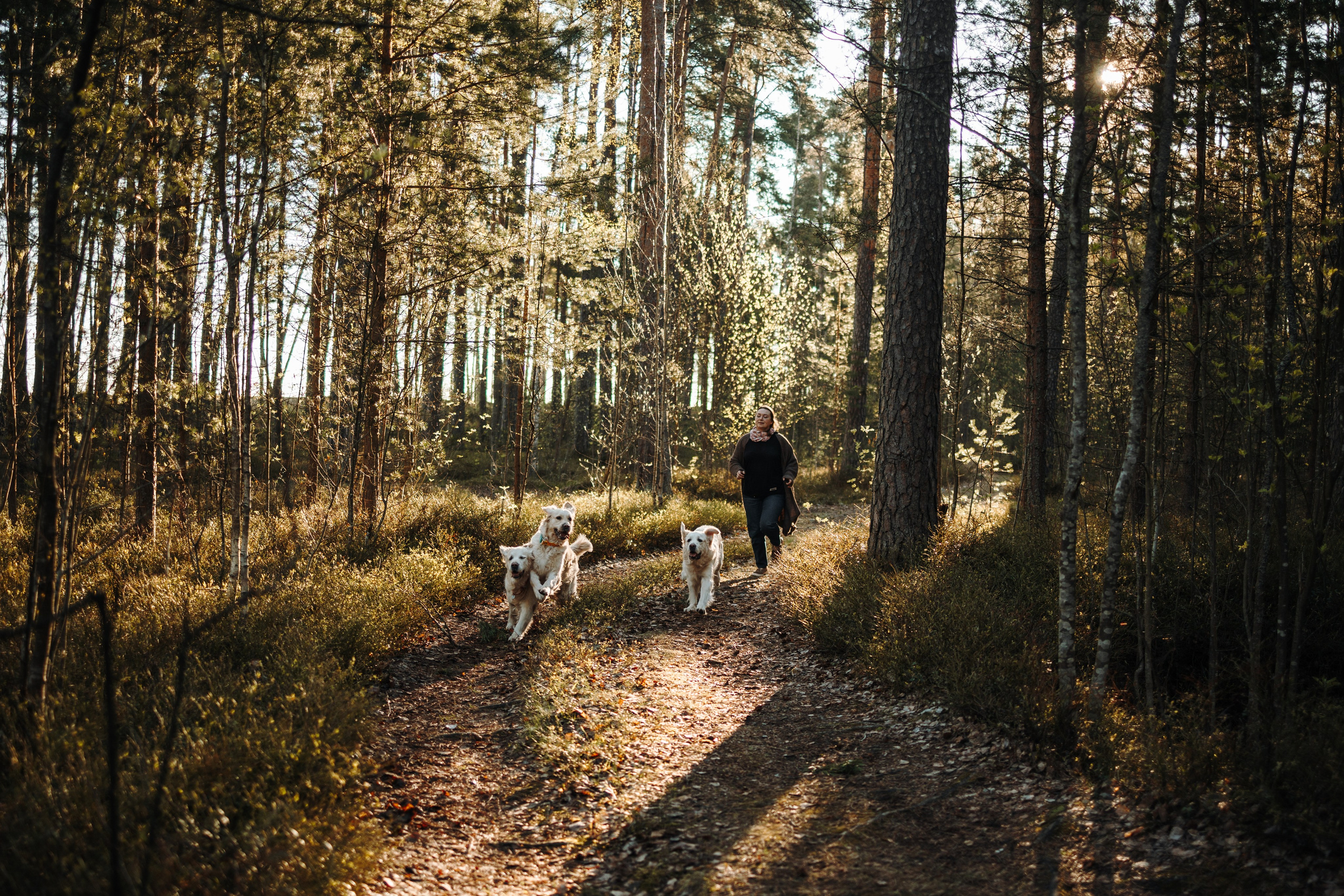 Катя и ее девочки. Фотограф — Анималист | Санкт-Петербург