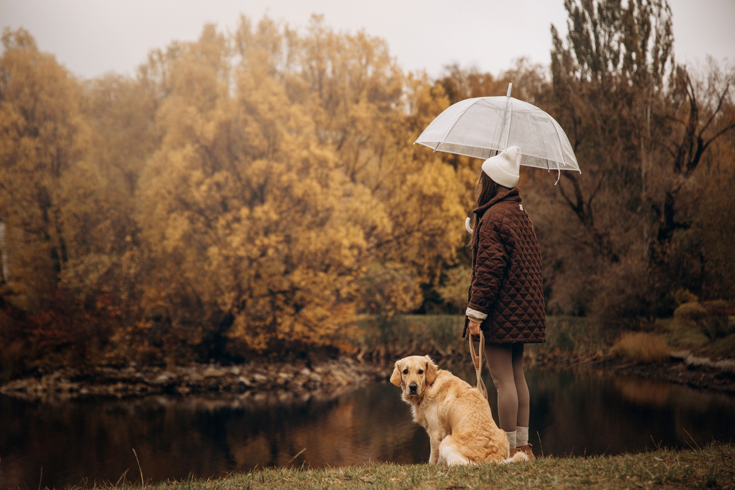 Марина и Чили. Фотограф — Анималист | Санкт-Петербург