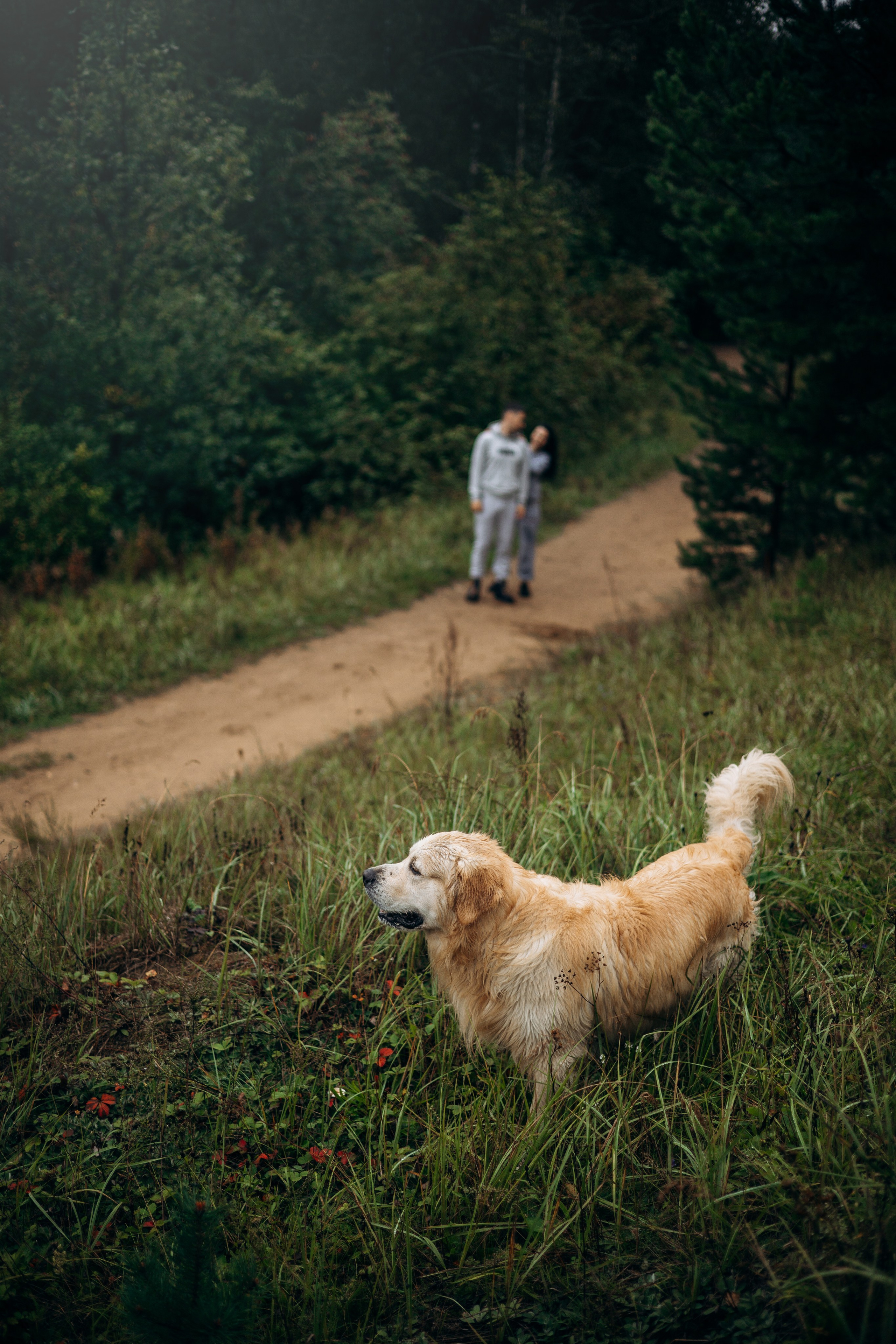 Лёва и его семья. Фотограф — Анималист | Санкт-Петербург