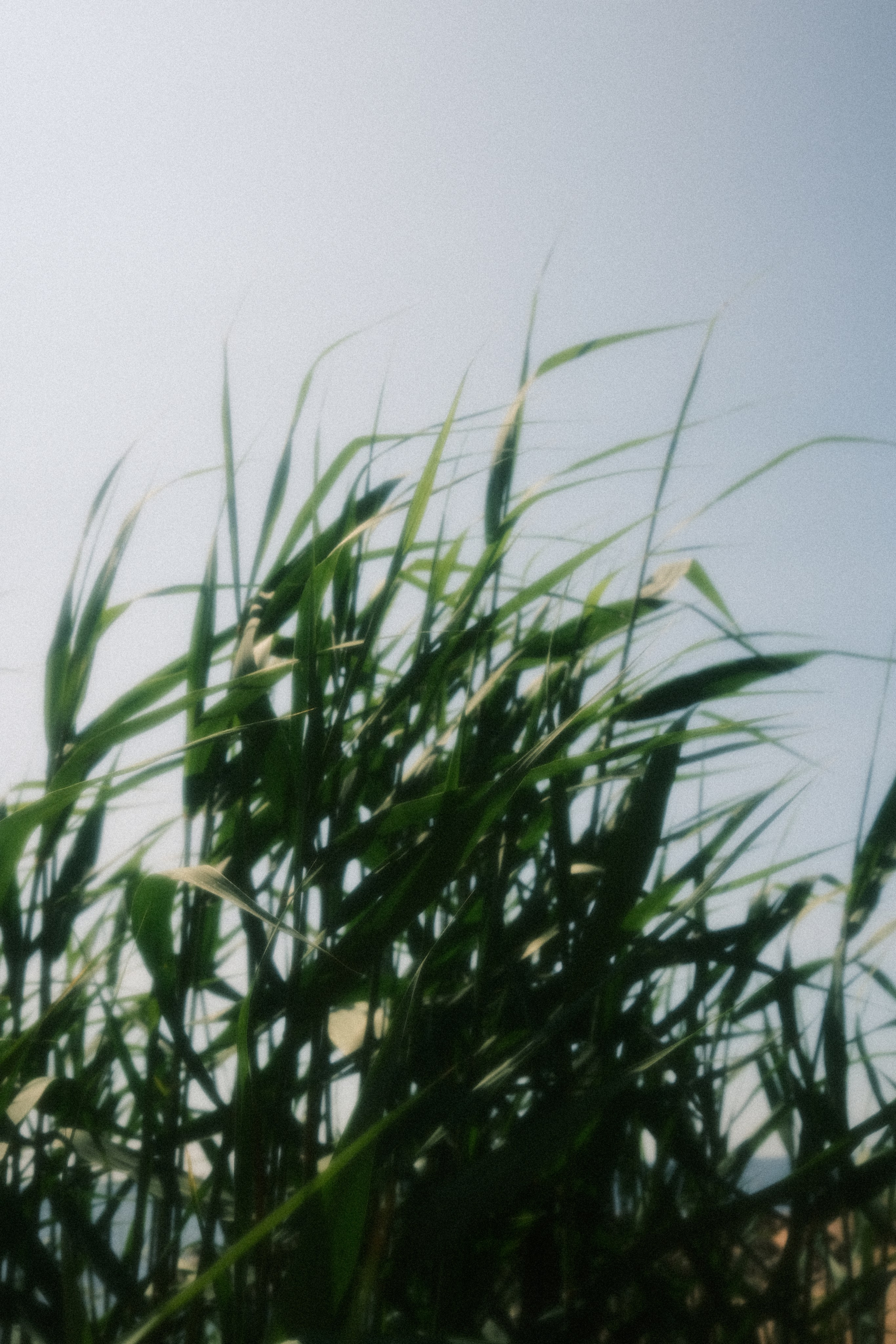 Невесомость. Портретный фотограф