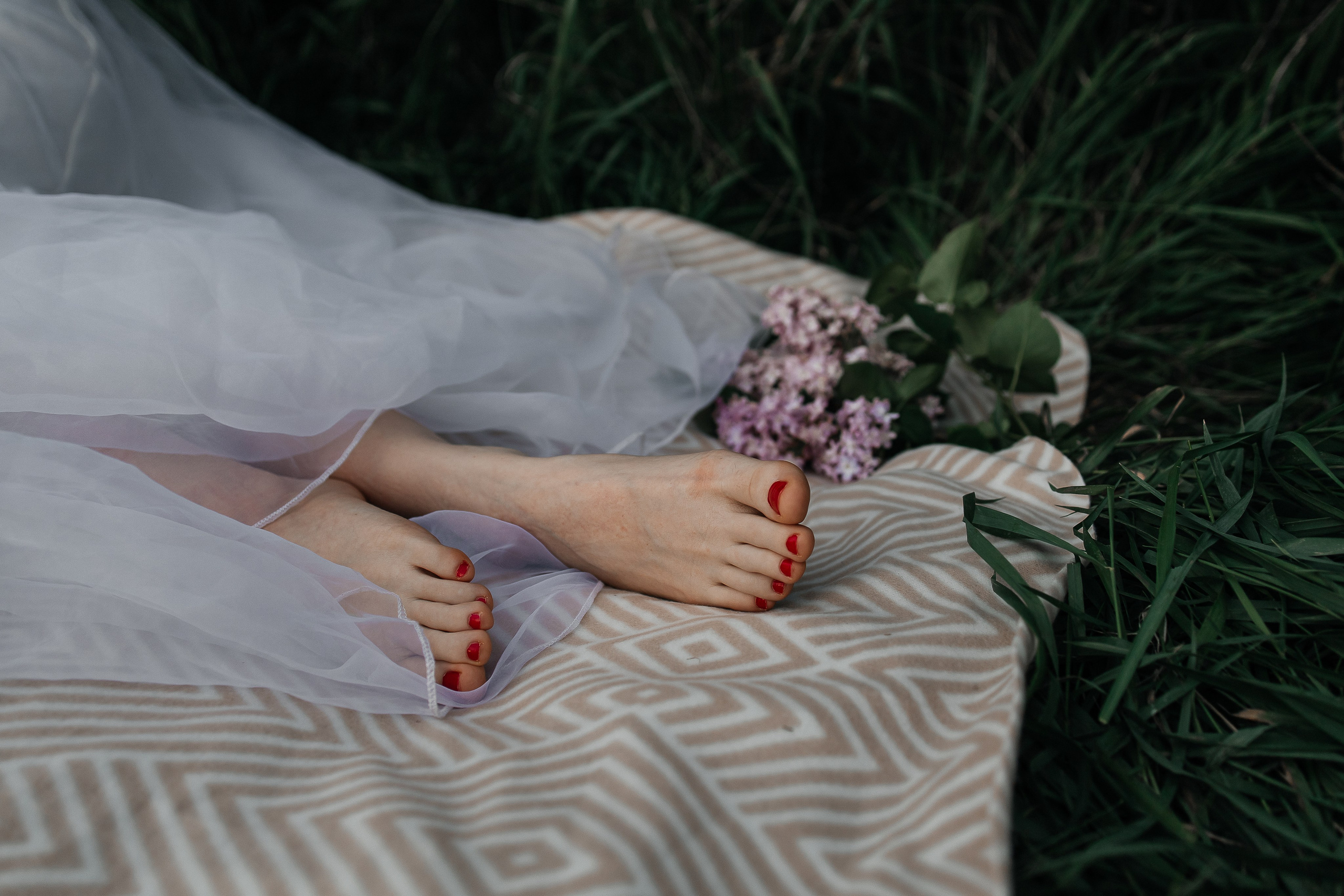 Сирень. Фотограф в Севастополе — Евгения Бойко