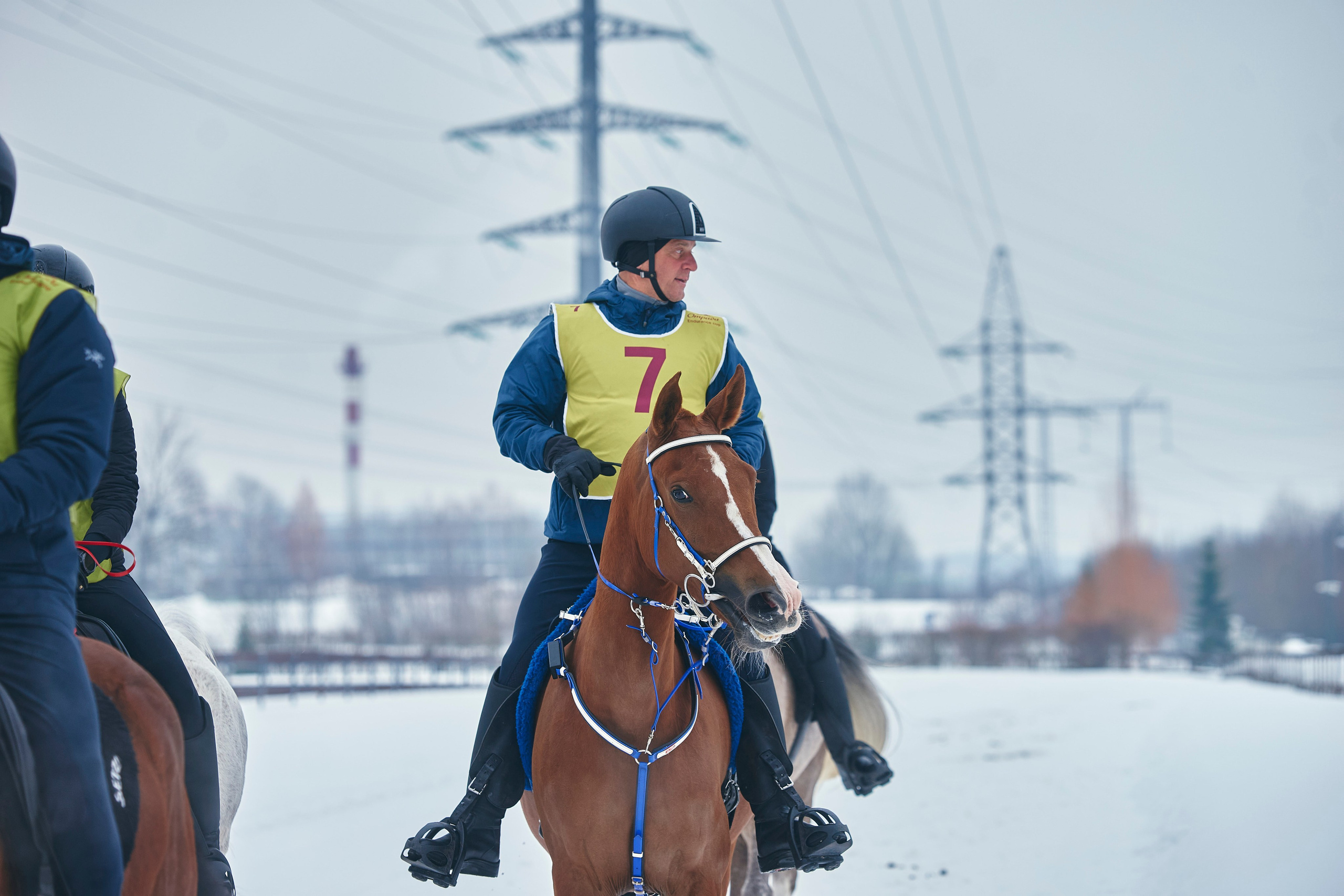 HORSE RACING. Фотограф Наталья Леонова