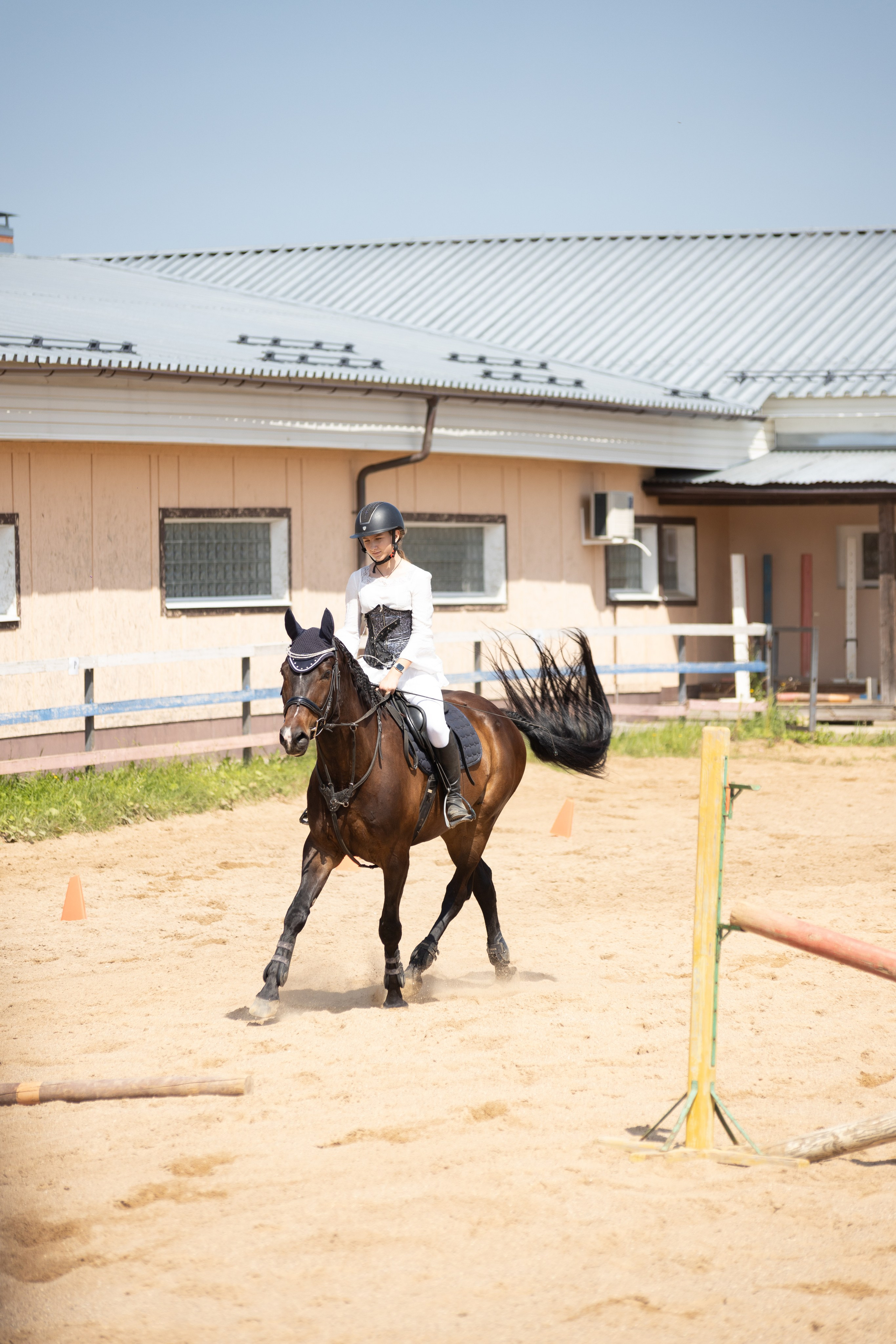 Конюшня. Фотограф в Москве и Истре