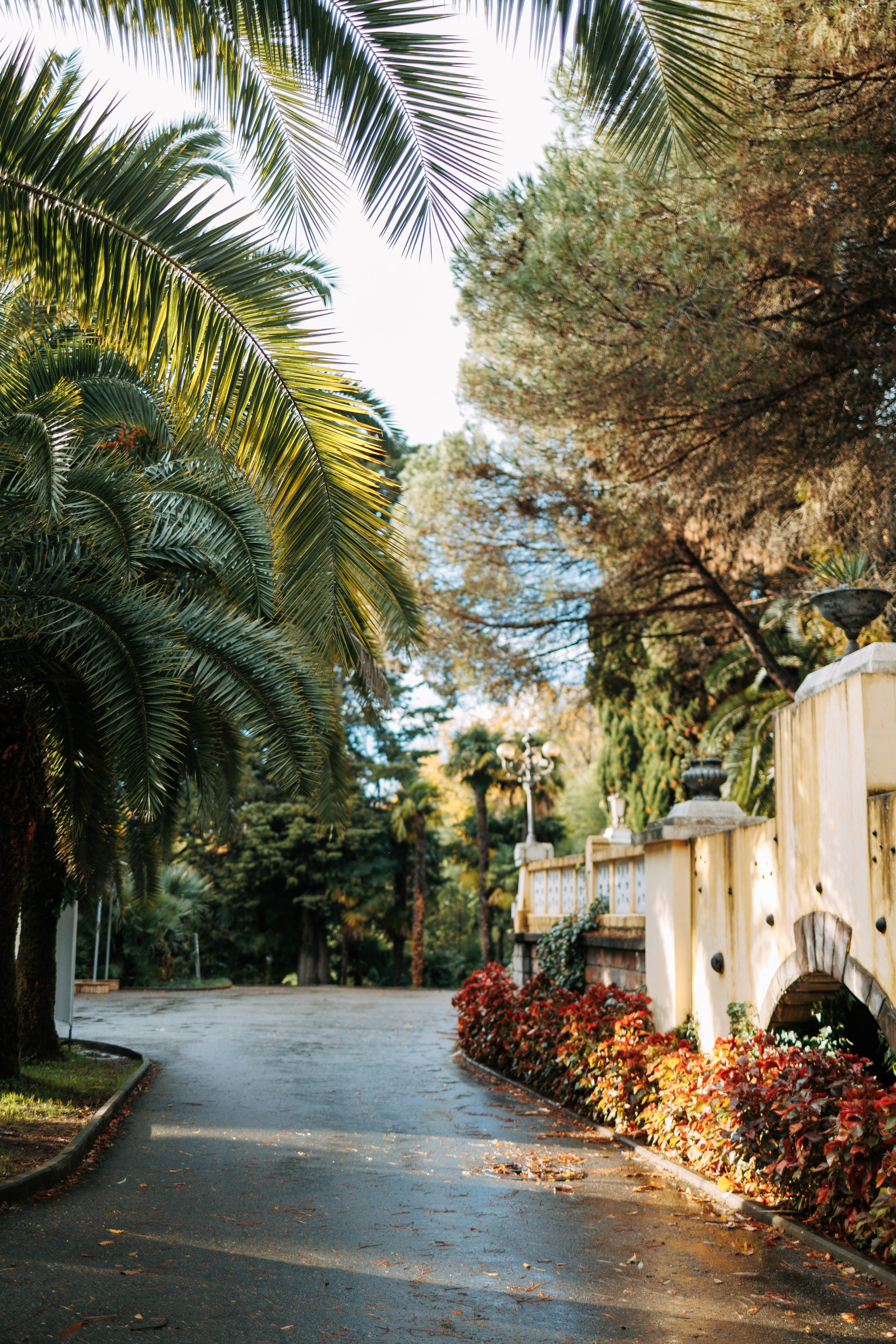 Сочи в декабре. Портретный фотограф в Санкт-Петербурге