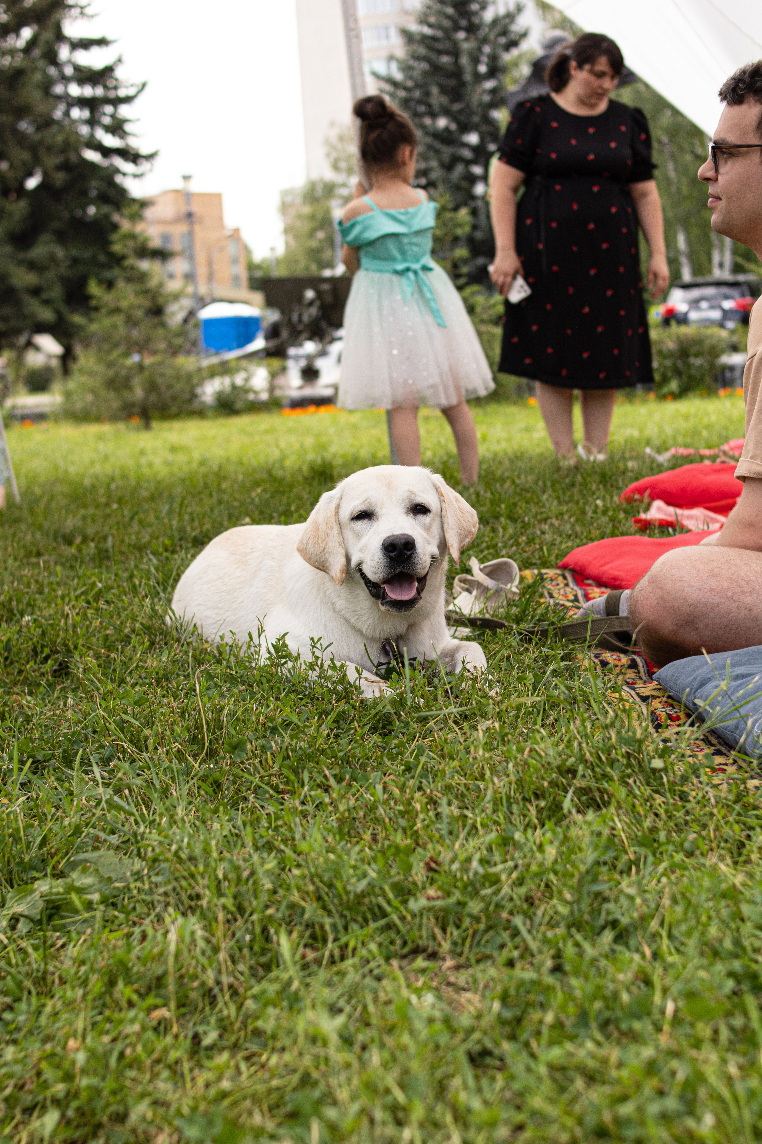 Чудофест 07.2024. Семейный и детский фотограф в Королёве Шарутина Лидия