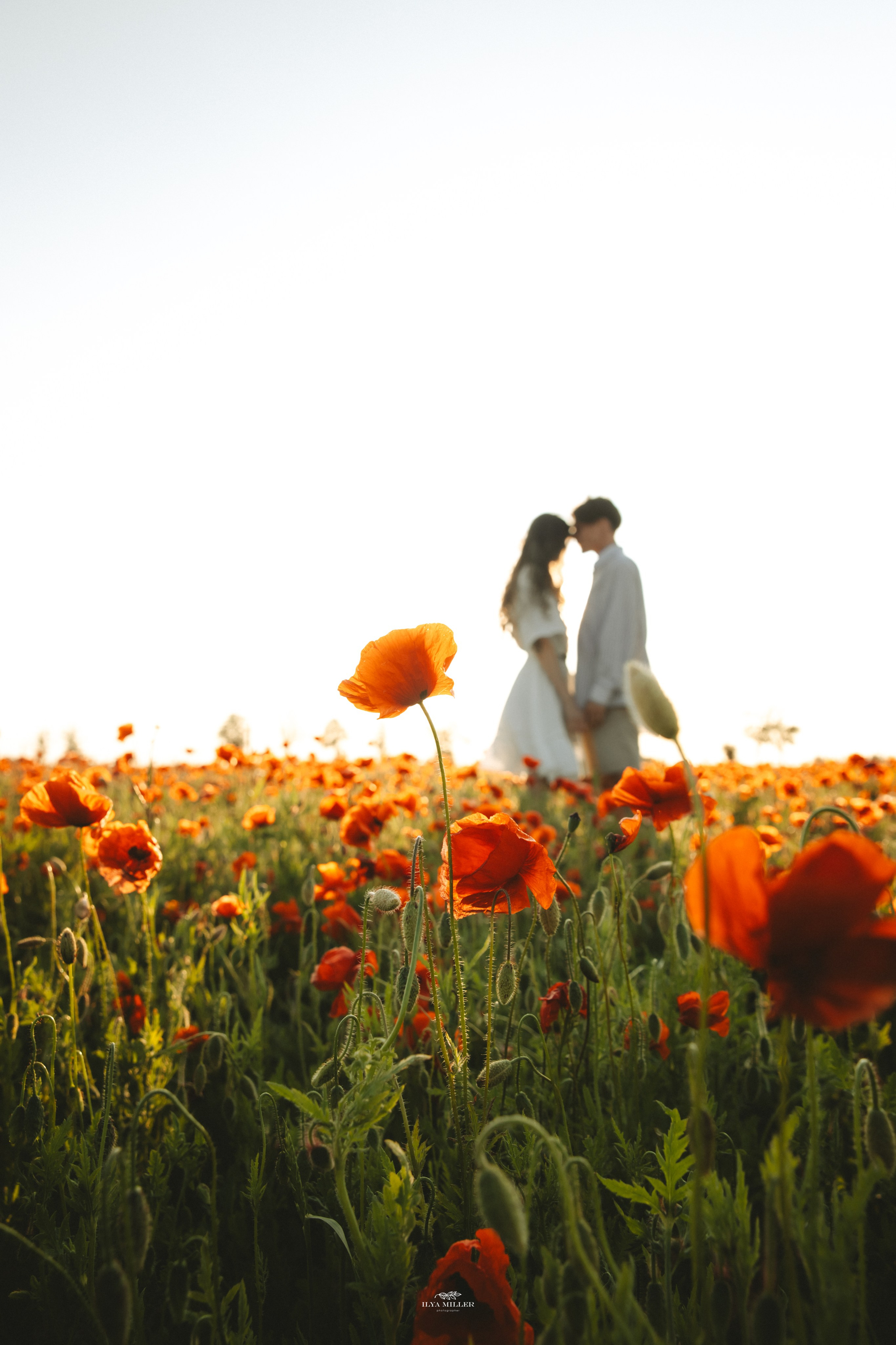 Дина и Влад / Маковые поля. Фотограф Калининград Илья Миллер
