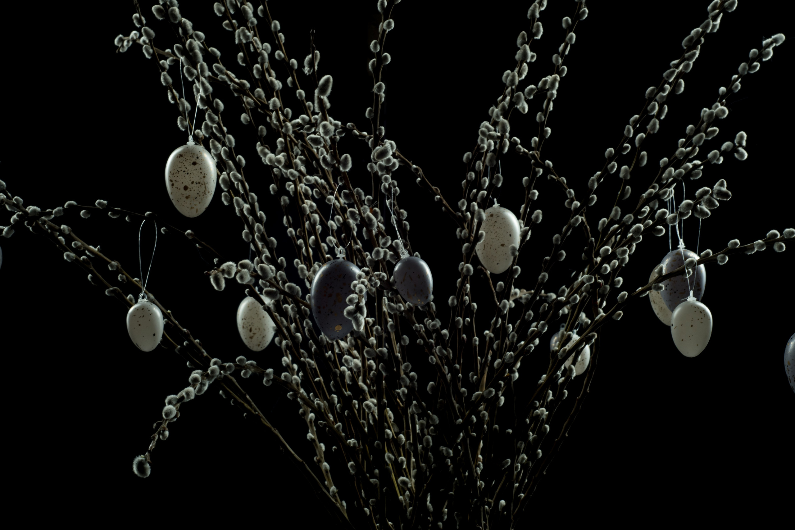 Студийная съемка. Фотограф Ольга Холина|Дебальцево