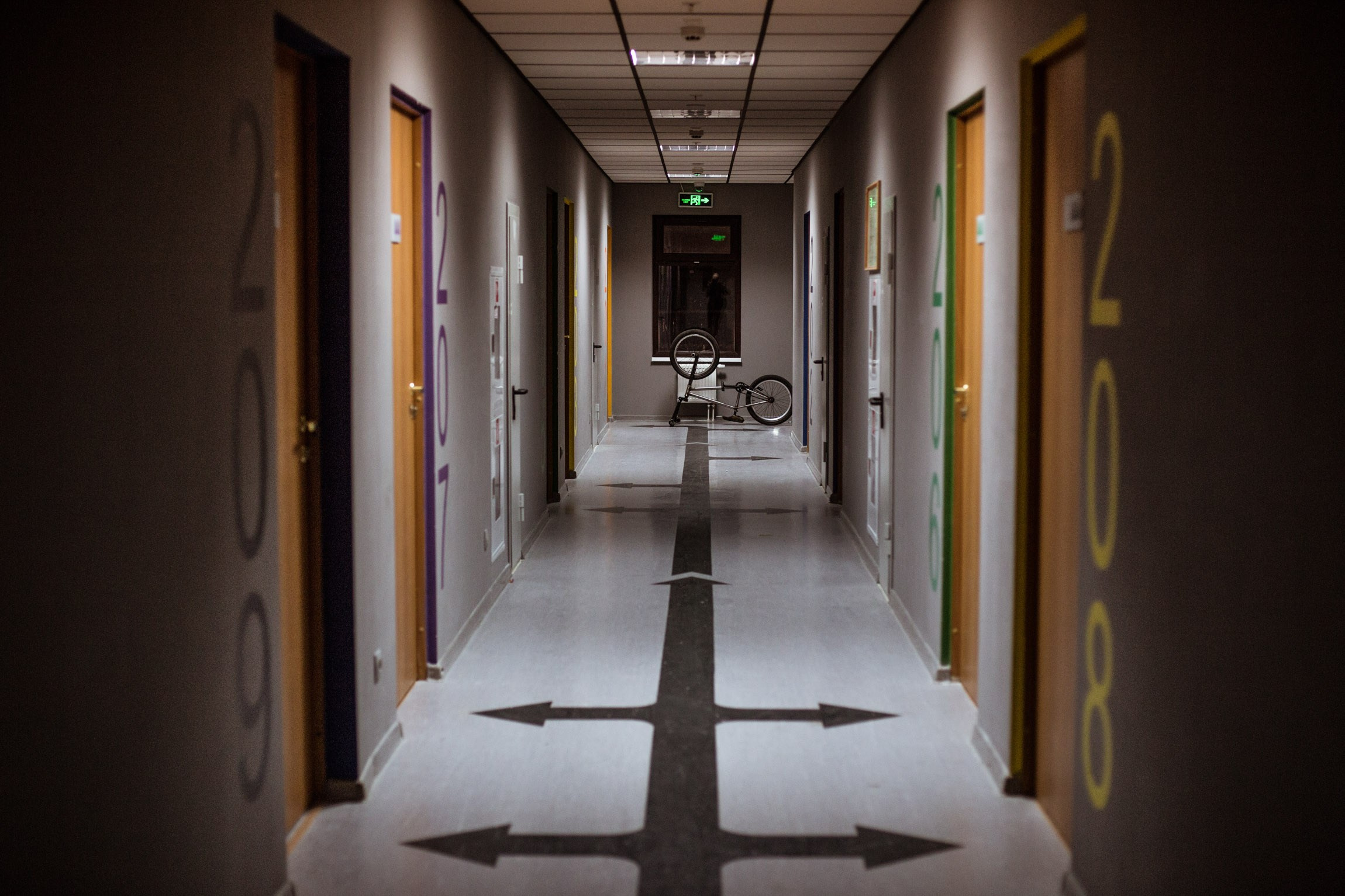 Lifestyle. Bivol images