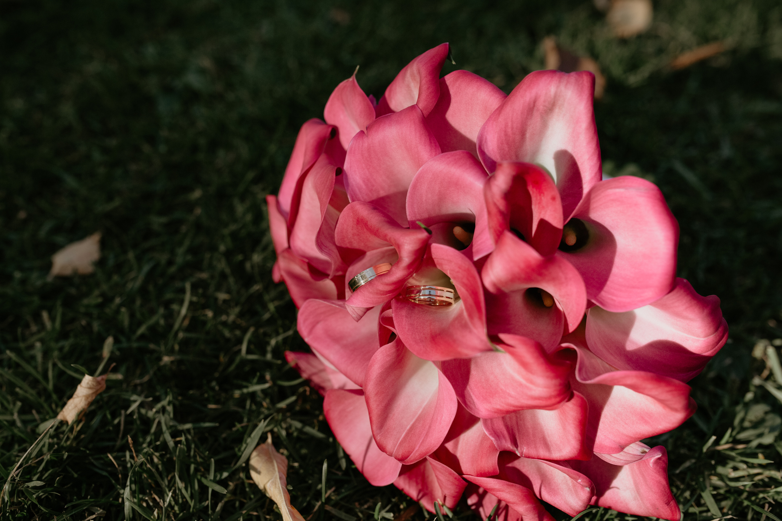 Москва — я люблю тебя!. Свадебный и семейный фотограф в Москве Julia Juice