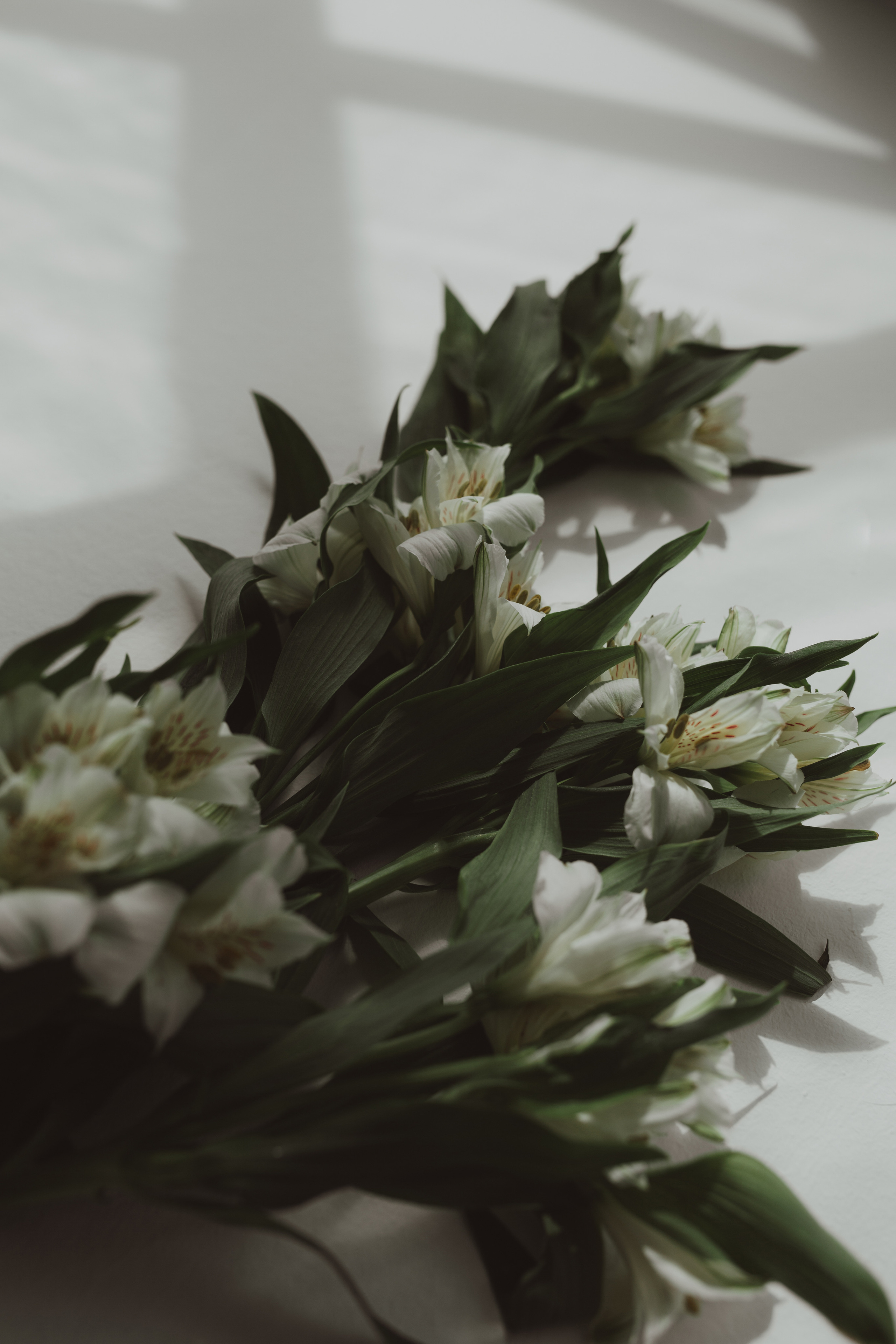 Татьяна. Свадебный и семейный фотограф в Москве Julia Juice