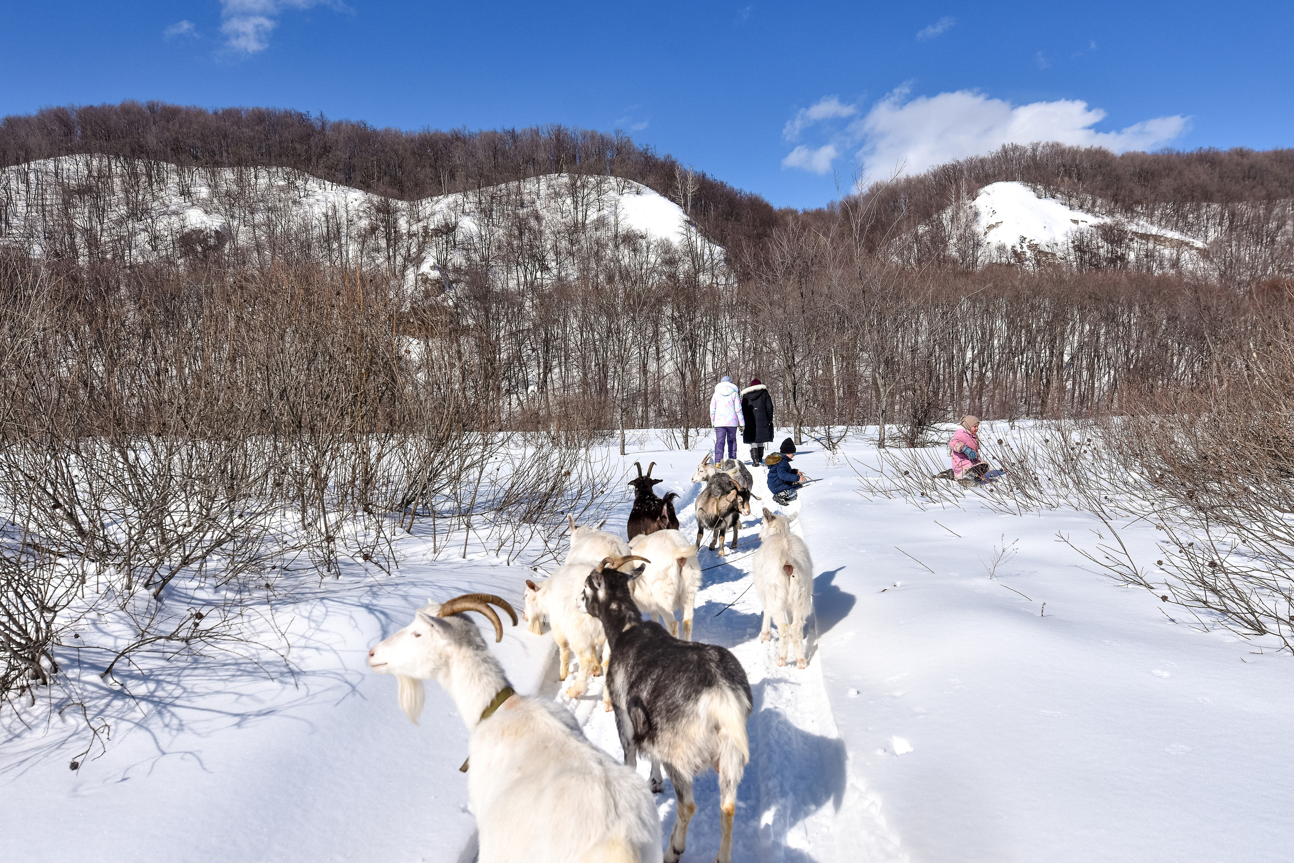 Репортажная съемка в Самаре и Самарской области