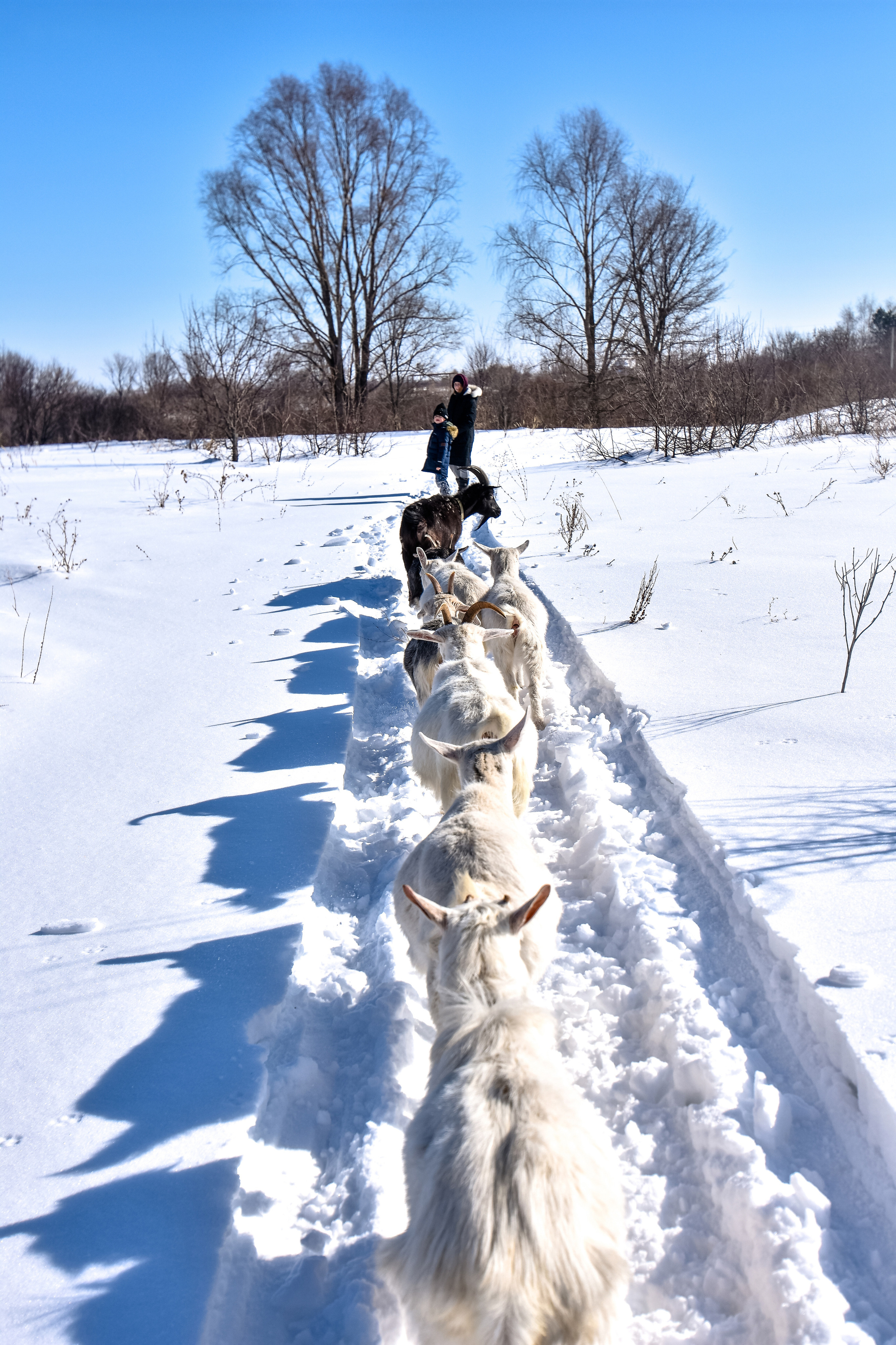 Репортажная съемка в Самаре и Самарской области