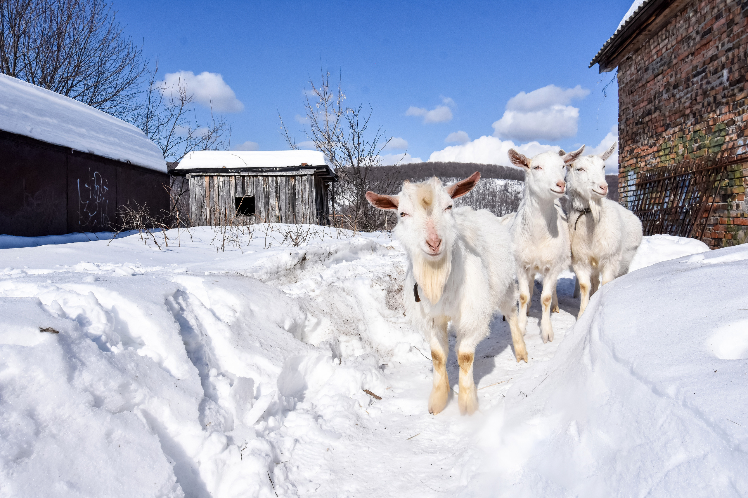 Репортажная съемка в Самаре и Самарской области