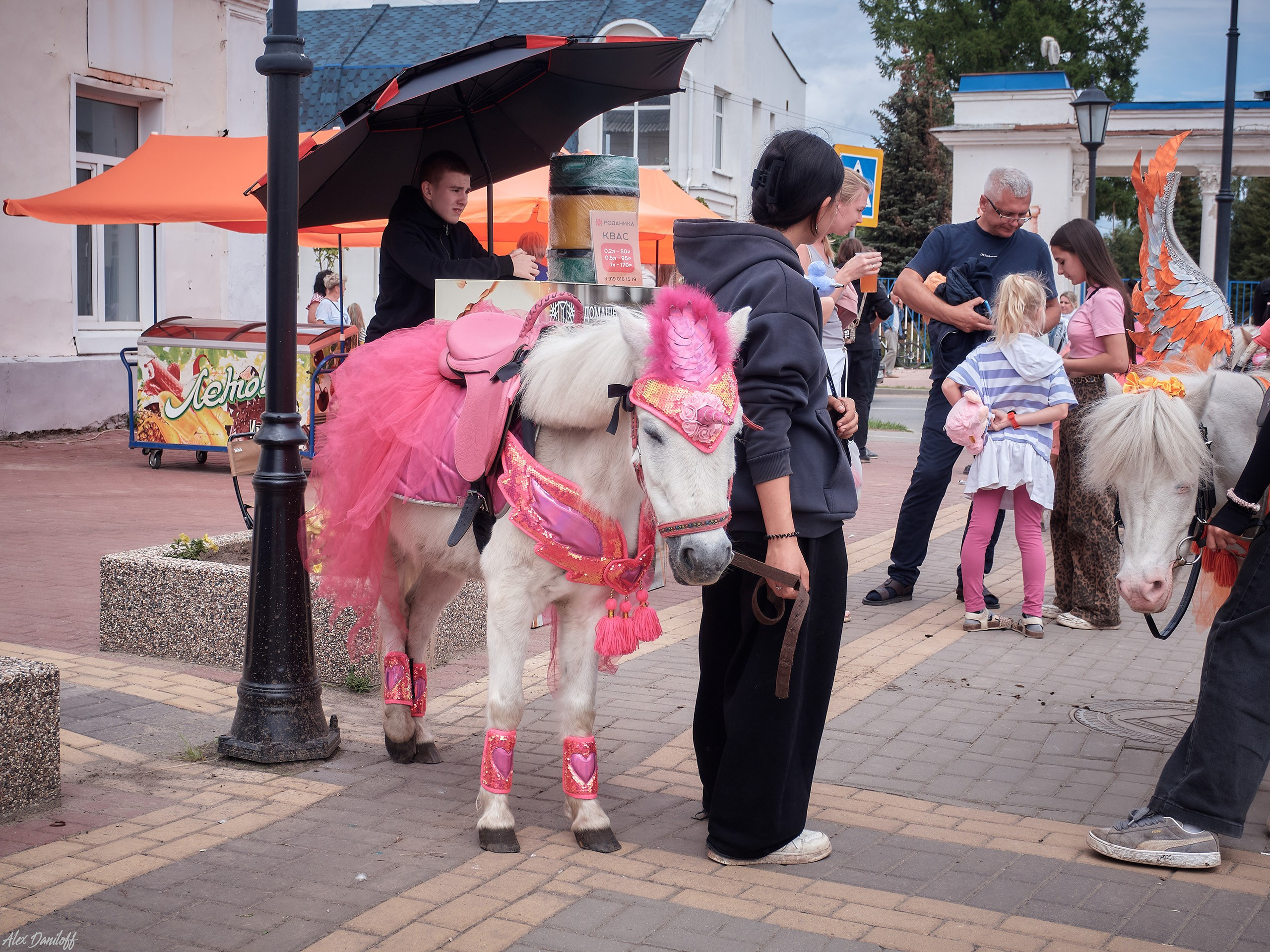 День семьи, любви и верности 2025. Муром-Инфо. Новости культуры, образования, спорта в городе Муром