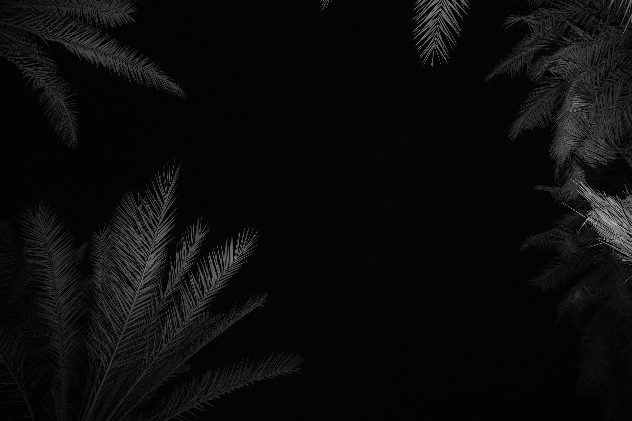 Alex & Bella 2022 Dubai. Свадебный и семейный фотограф в Москве