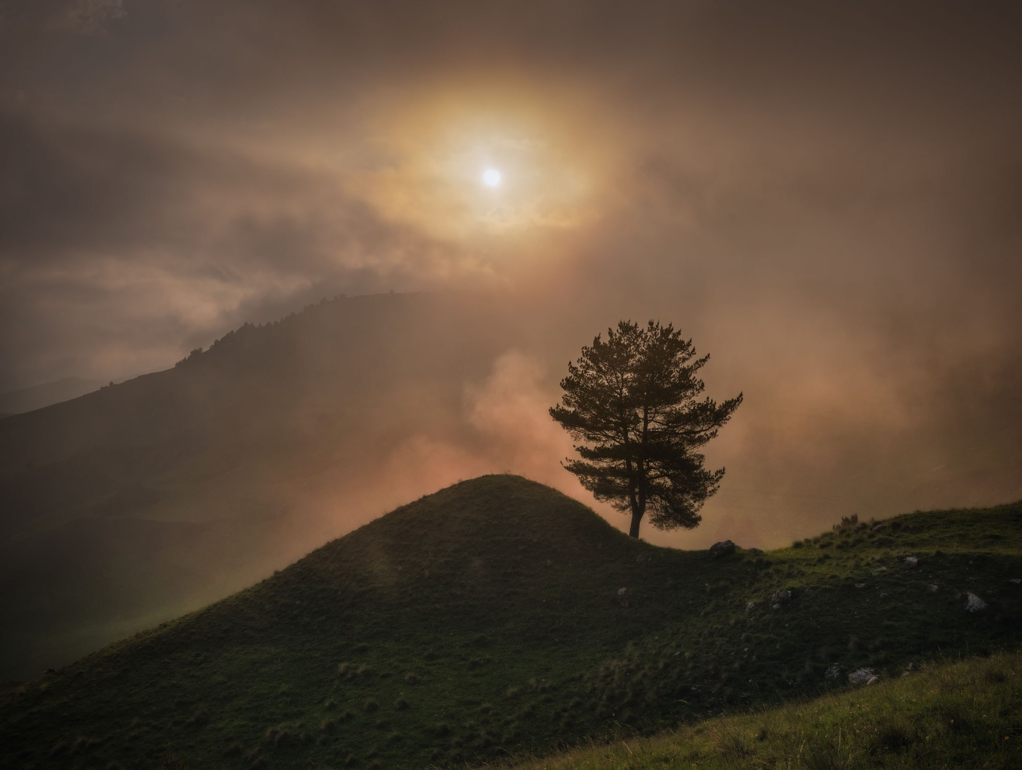 Фотографии Ингушетия