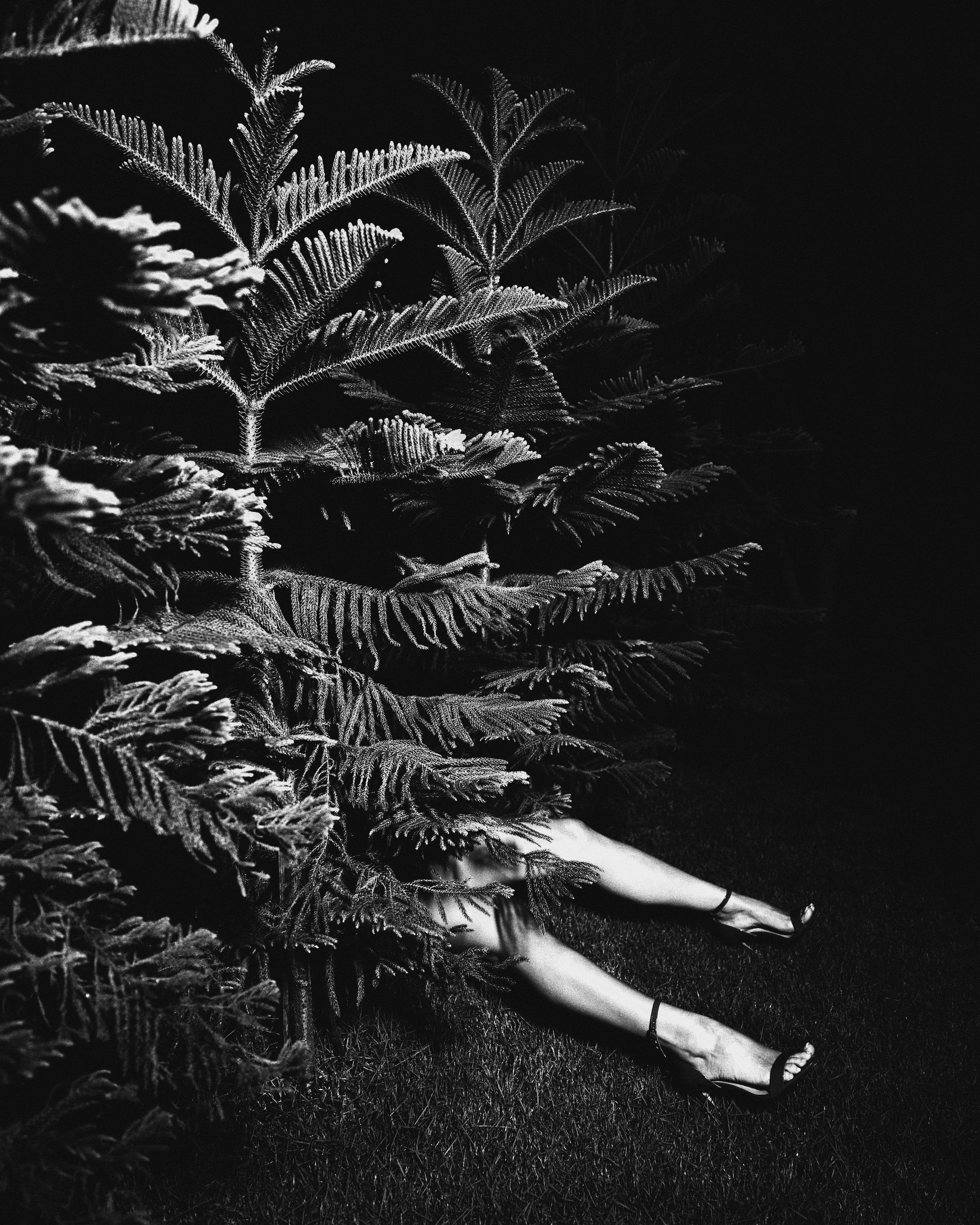 ИНДИВИДУАЛЬНЫЕ СЪЕМКИ. SVETLANA SEDOVA