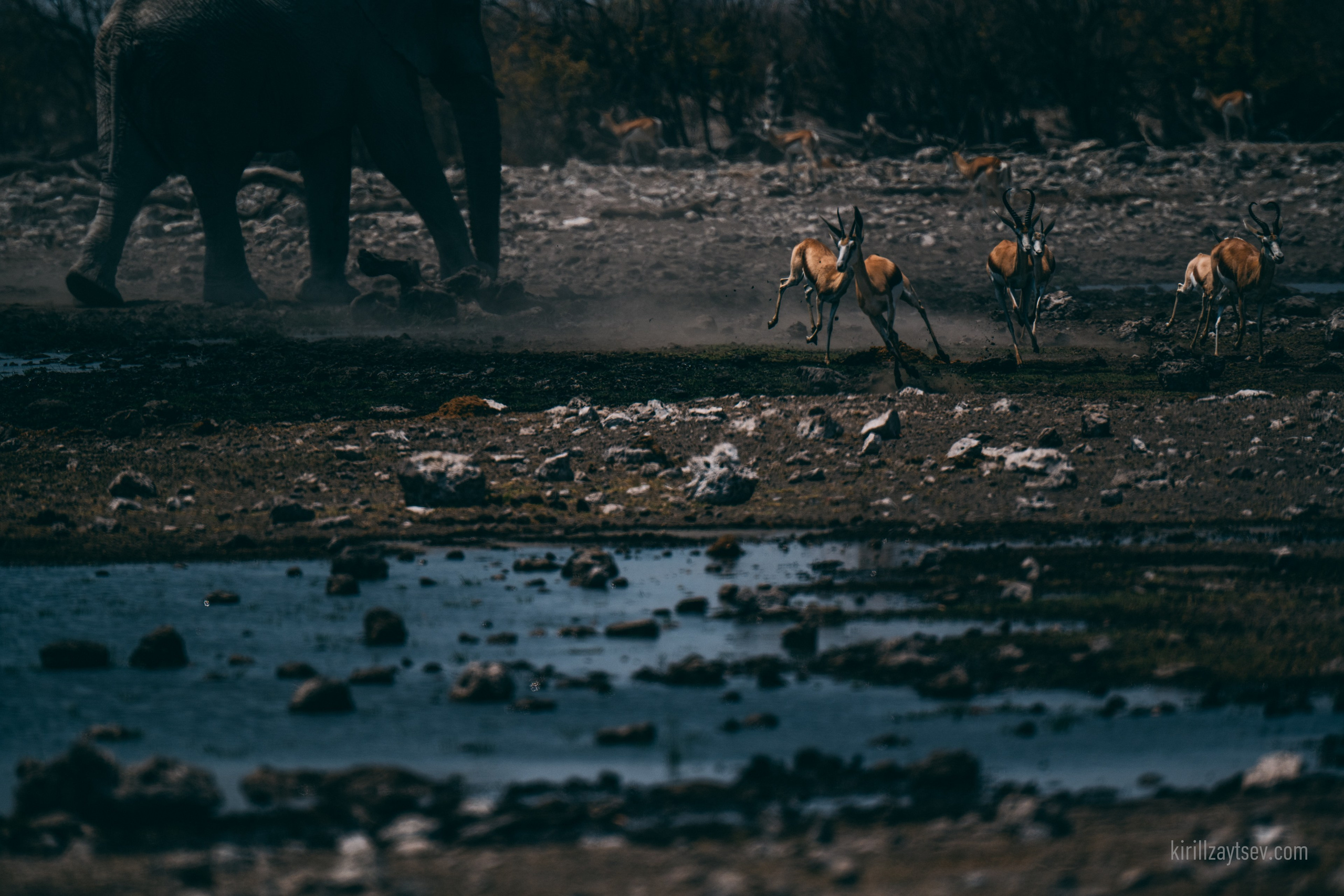 Жизнь. Профессиональный фотограф Кирилл Зайцев