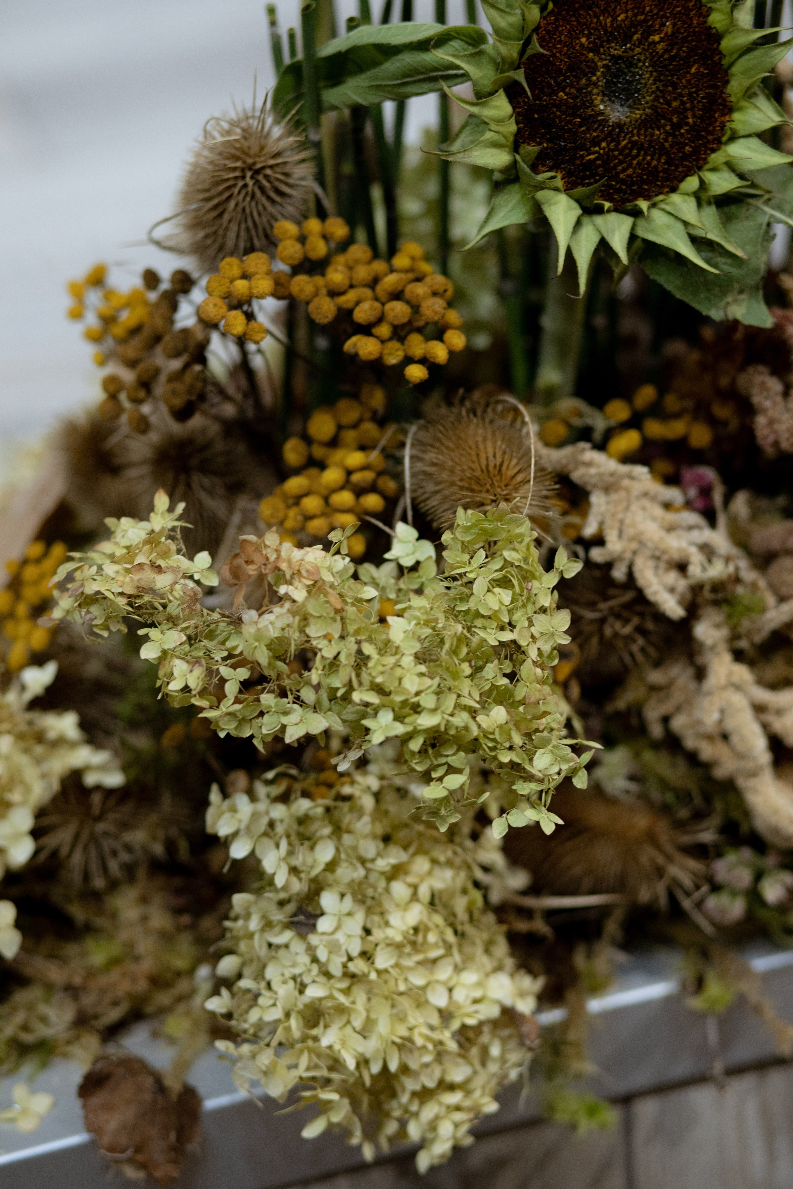 Оформление IX Международного конкурса пианистов имени Д. Д. Шостаковича. Оформление свадеб, декор свадеб Вера Маркова, Москва