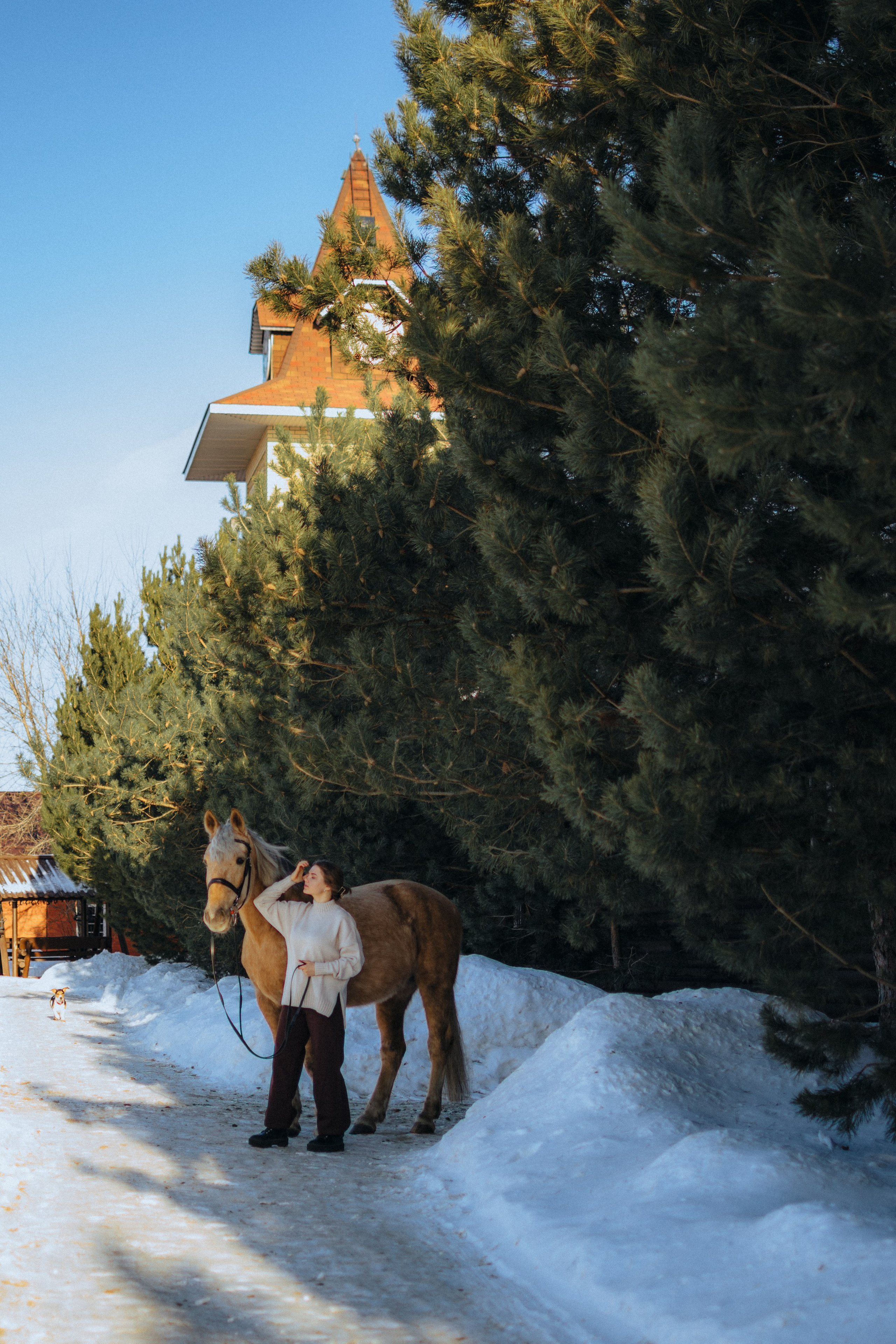 Маша и Фрутти. MariaGohri — Конный фотограф, анималист, Рязань