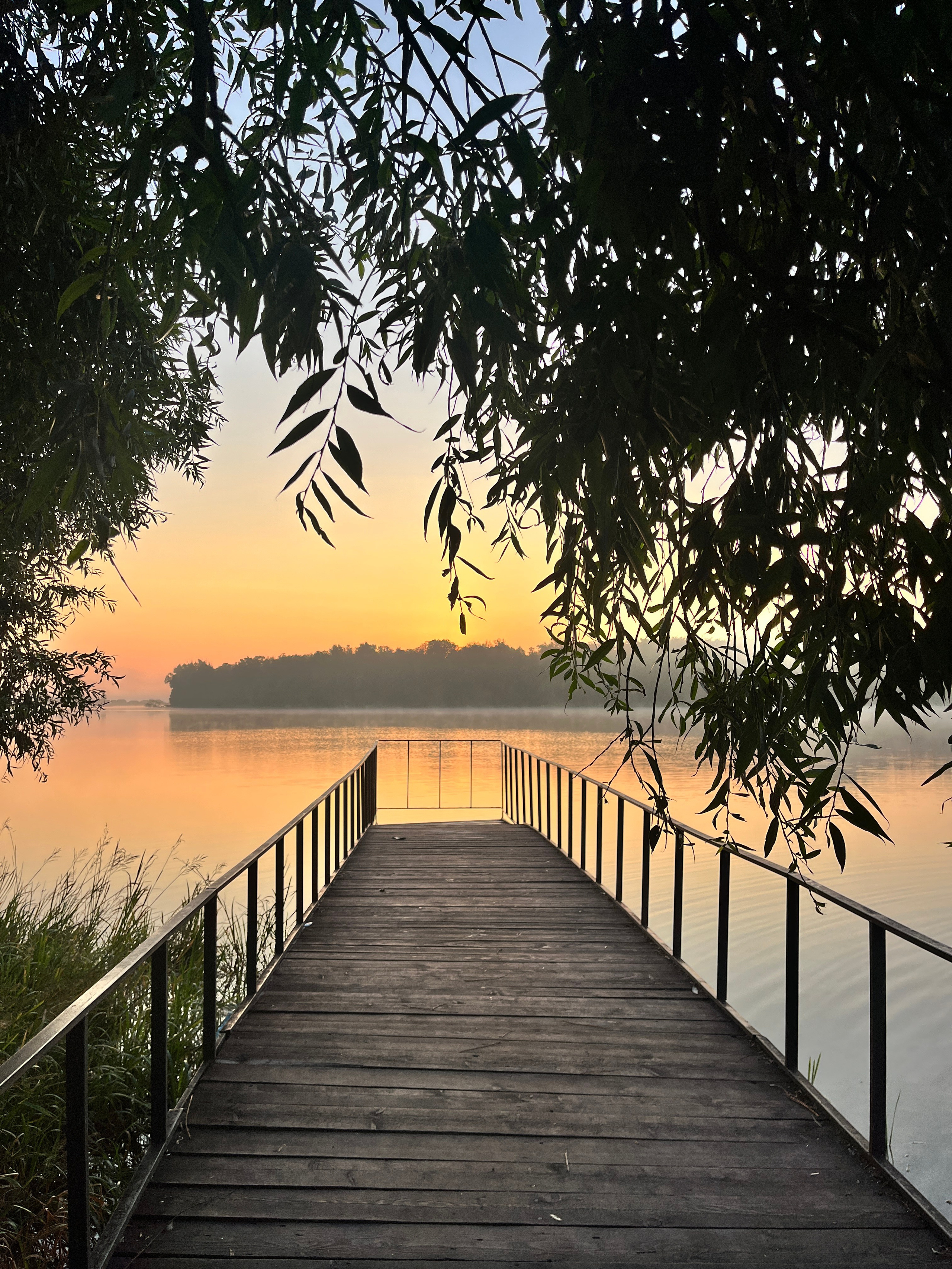 Рассвет на сапах на Ольховом озере