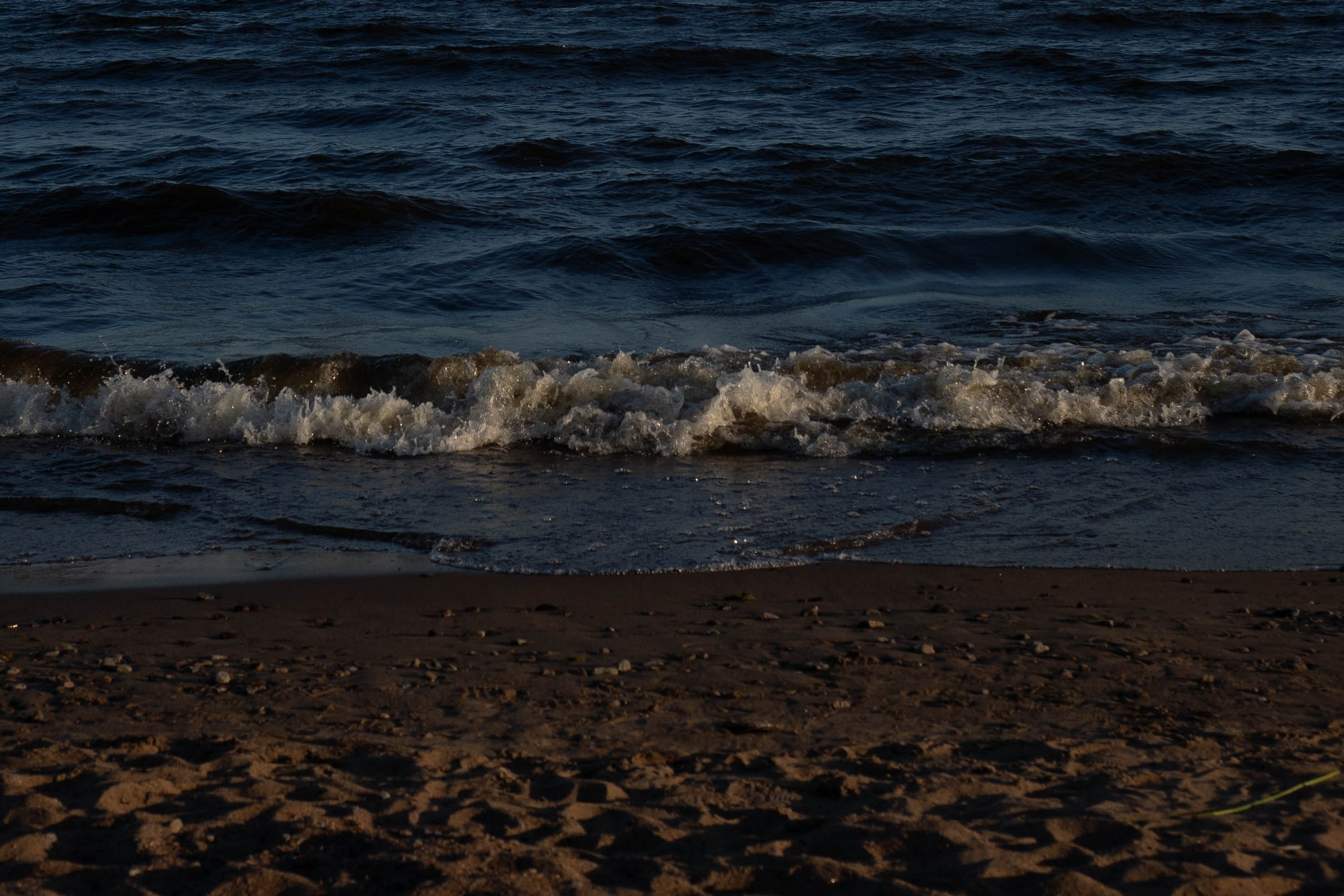 Любовь на заливе. Профессиональный фотограф, Санкт-Петербург — Виктория Богомолова