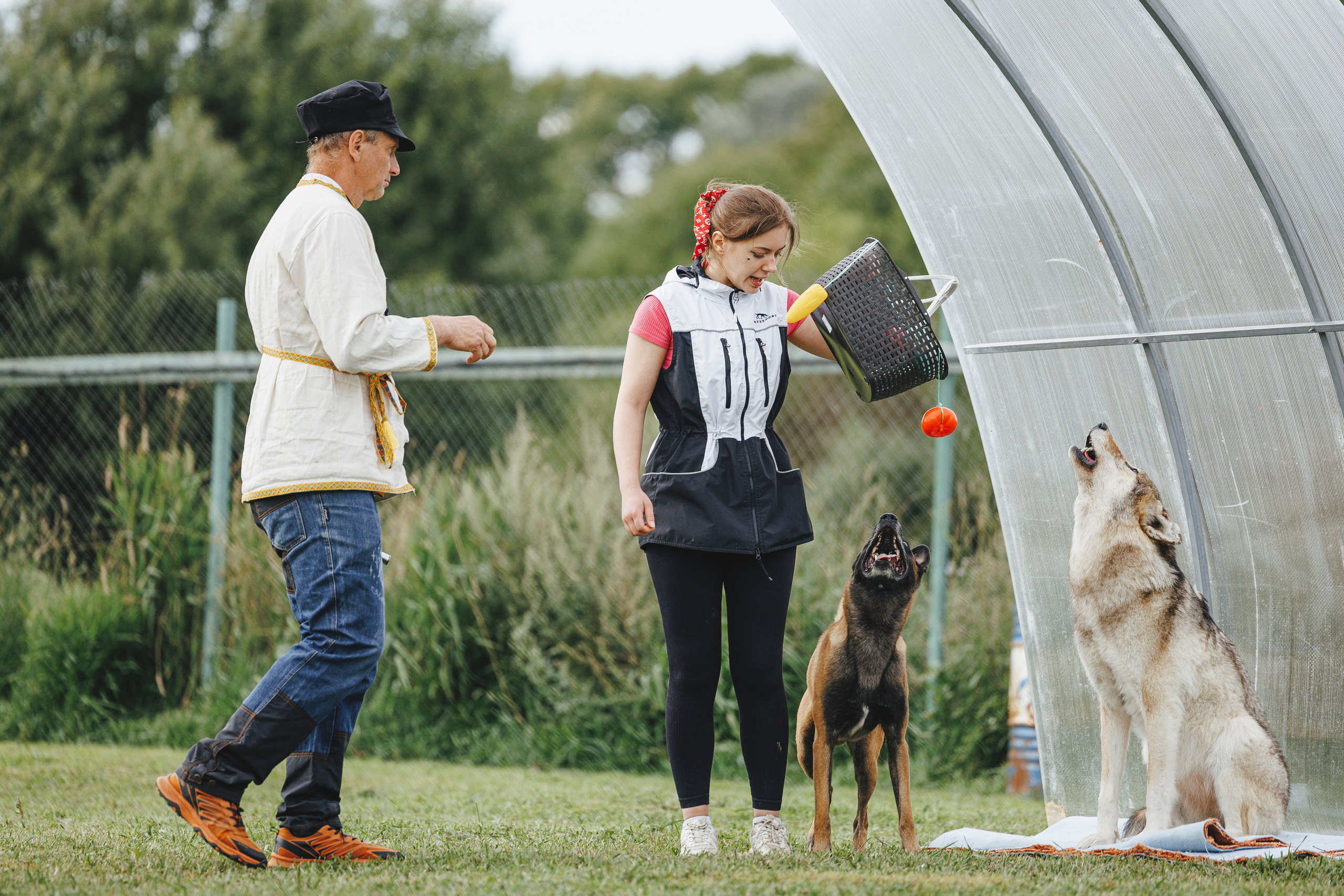 08.08.25-10.08.25 ЧР по мондьорингу г. Вологда. Фотограф-анималист Анна Маринич