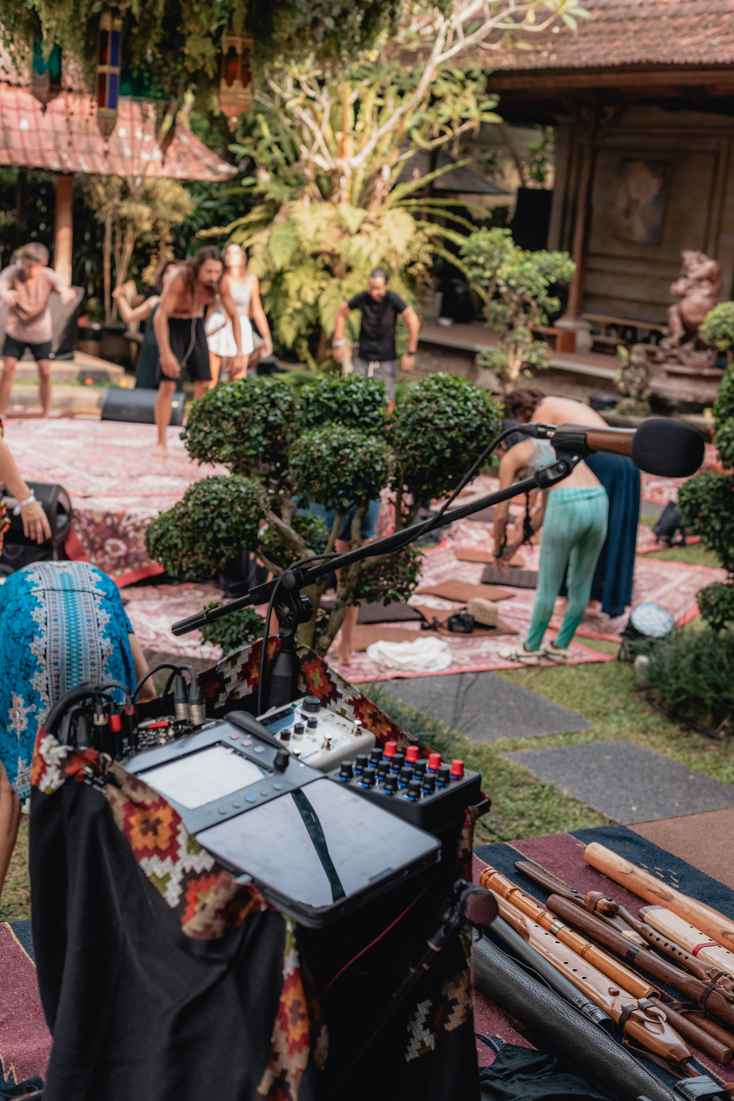 Alegria festival at Zest. Мариам Багдасарян