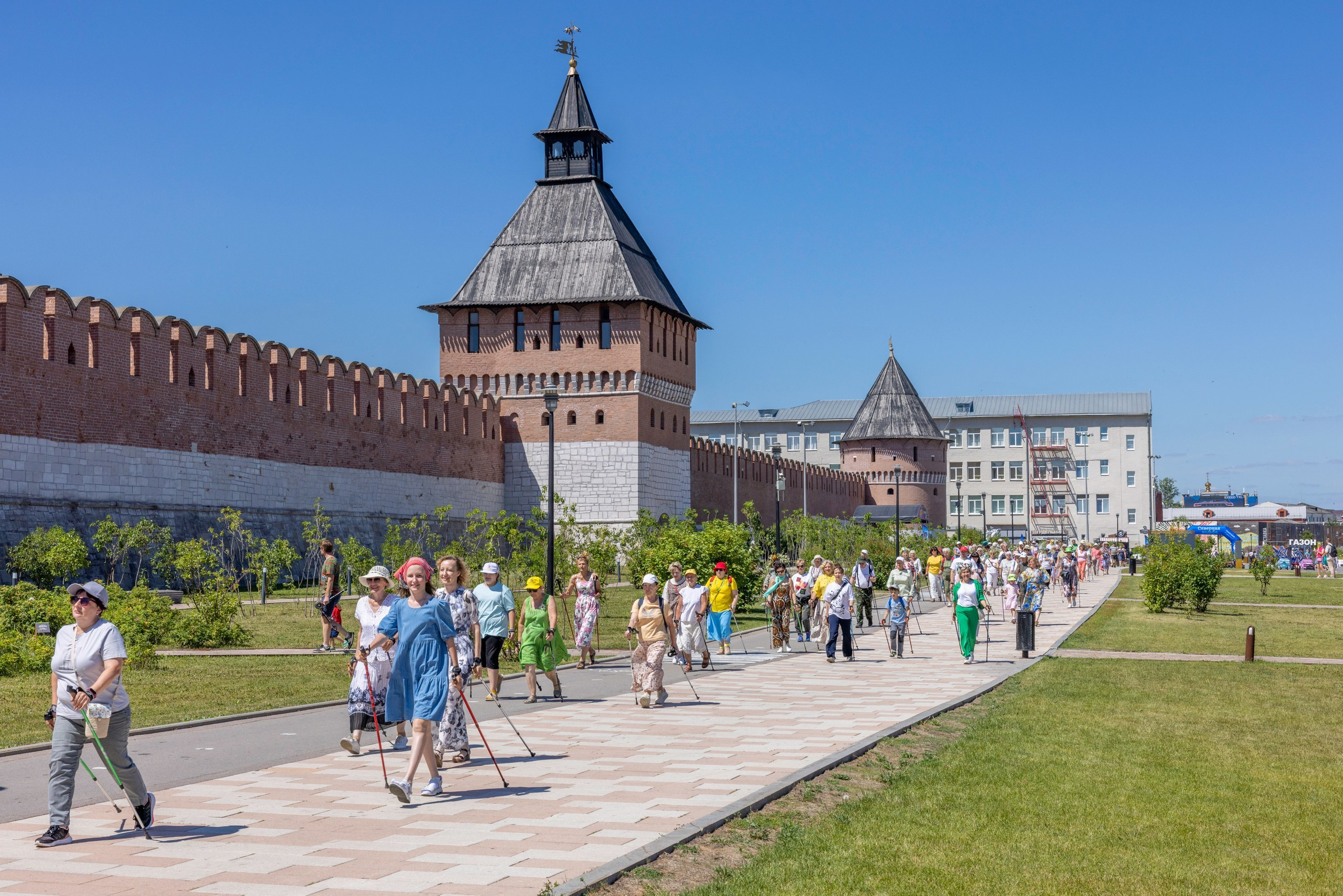 Фестиваль «Ромашковый хоровод». Северная ходьба. Фотограф в Туле Крупский АнДРей. Фотостудия «КАДР71» в Туле