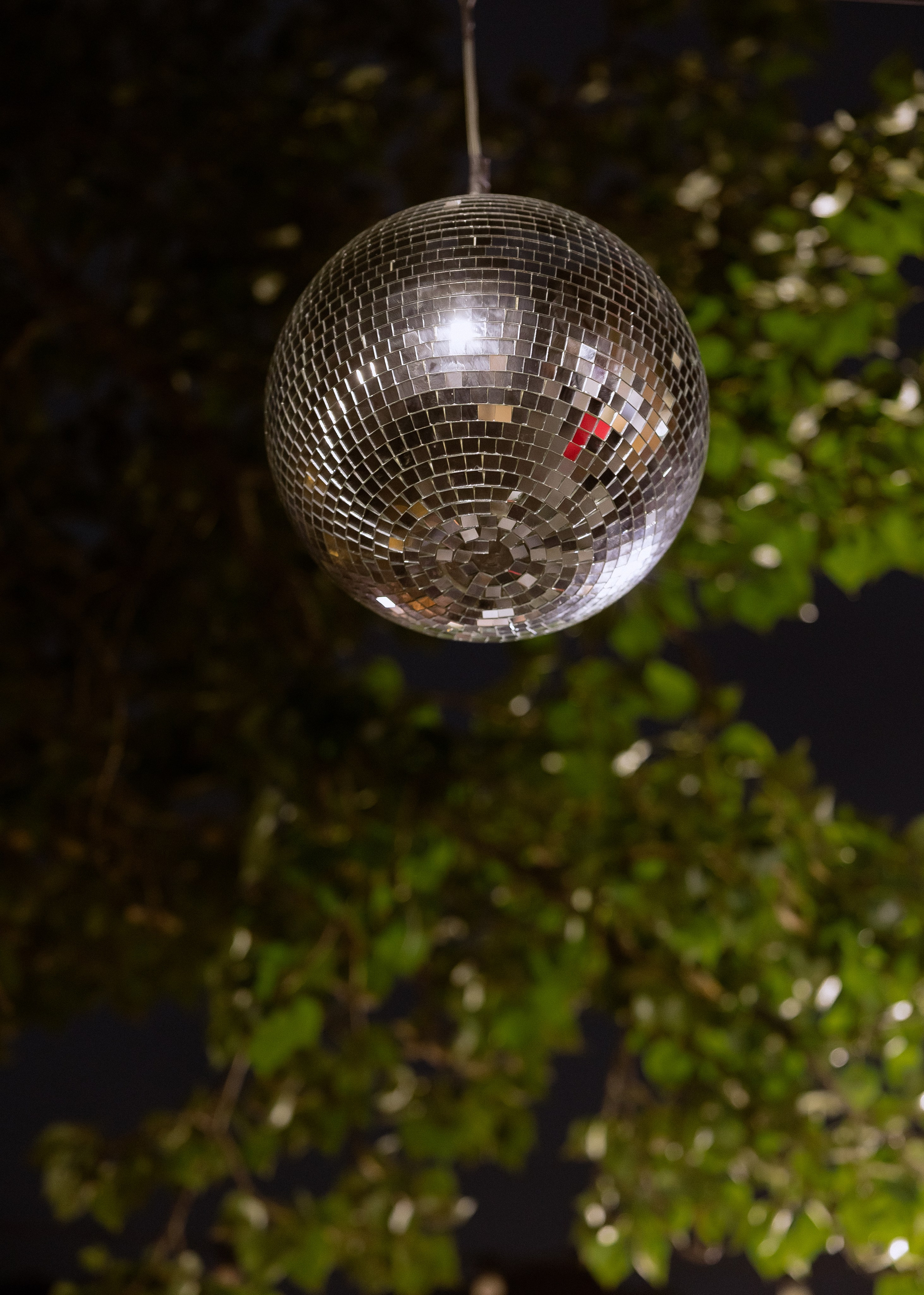 Дмитрий и Алита. Фотограф Эмиль Исякаев