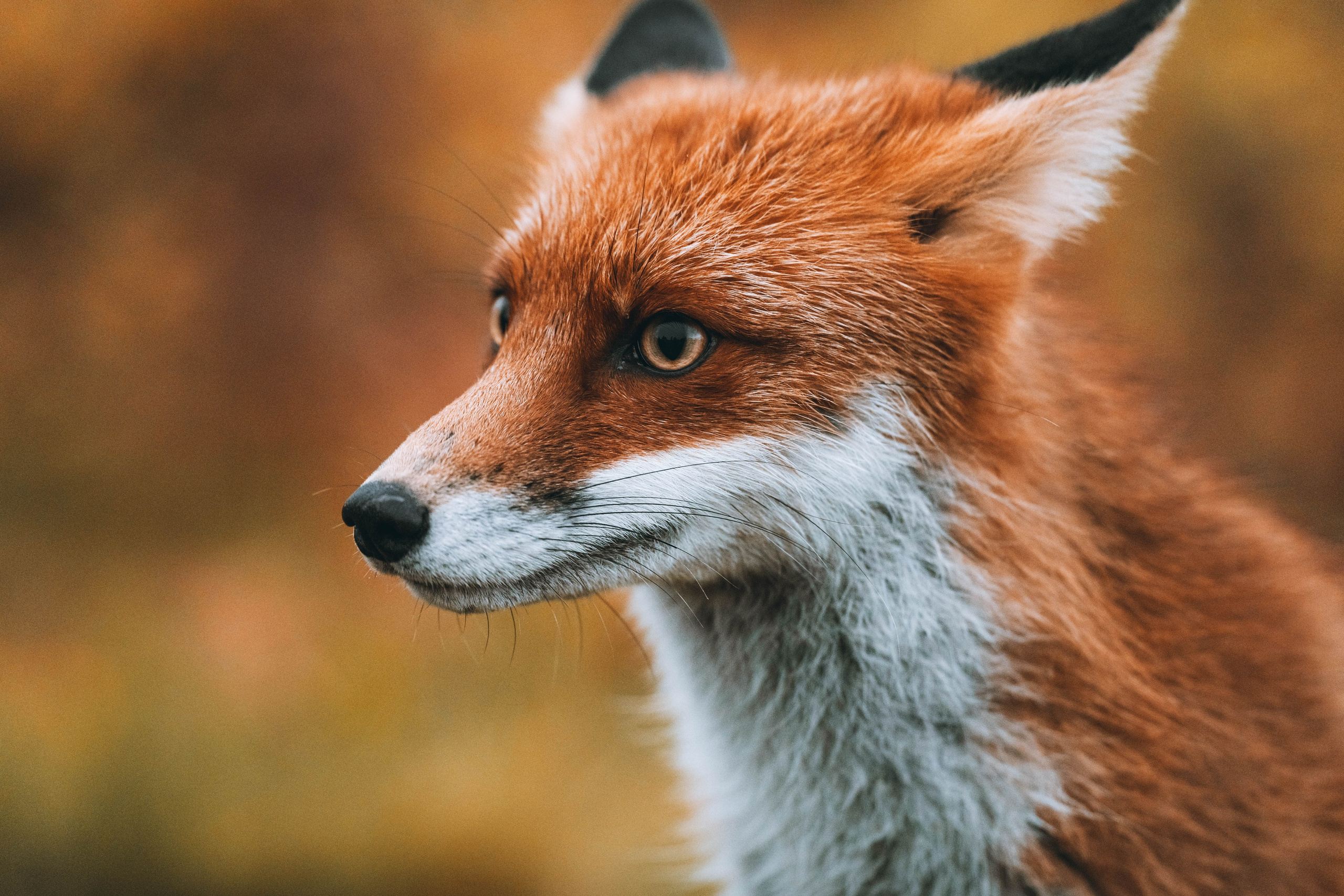 СЕВЕР. Event фотограф Степанова Александра