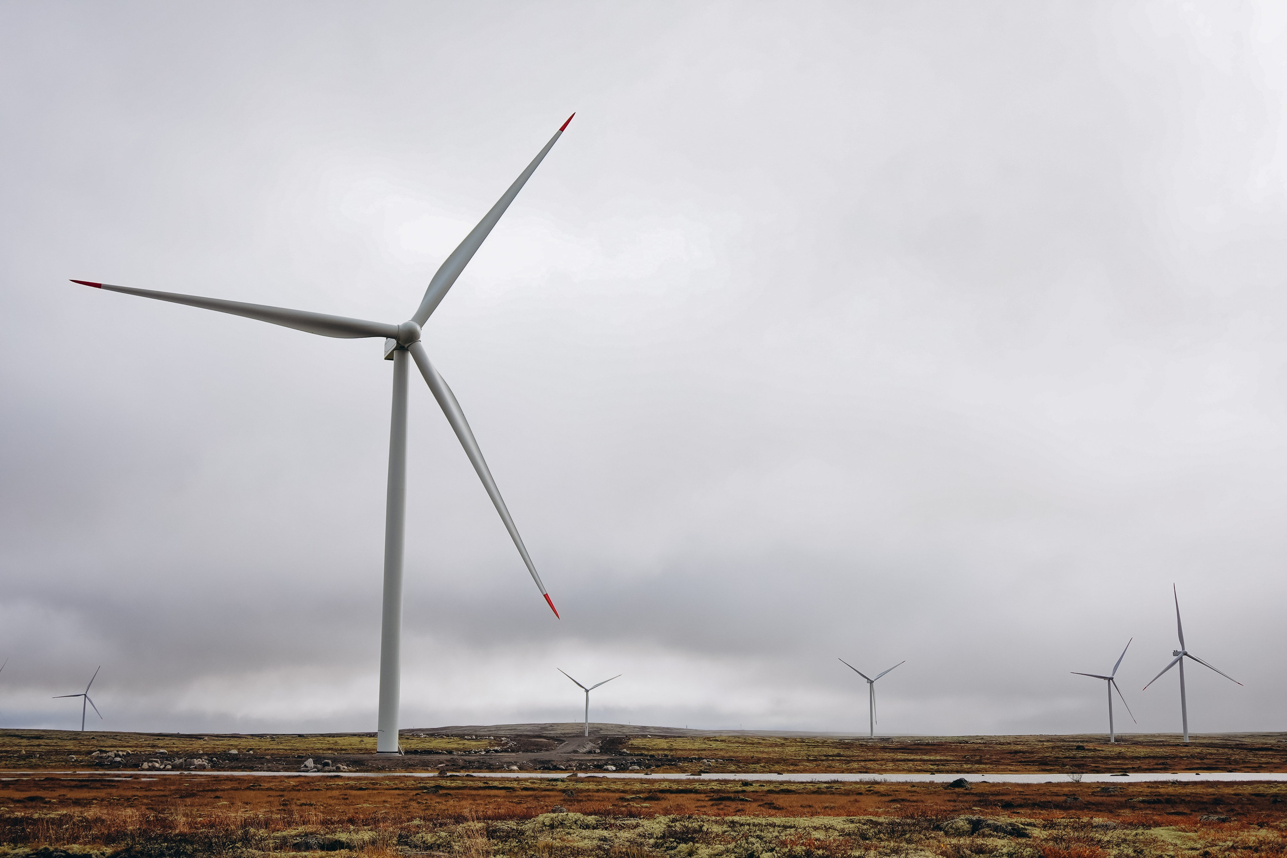 СЕВЕР. Event фотограф Степанова Александра