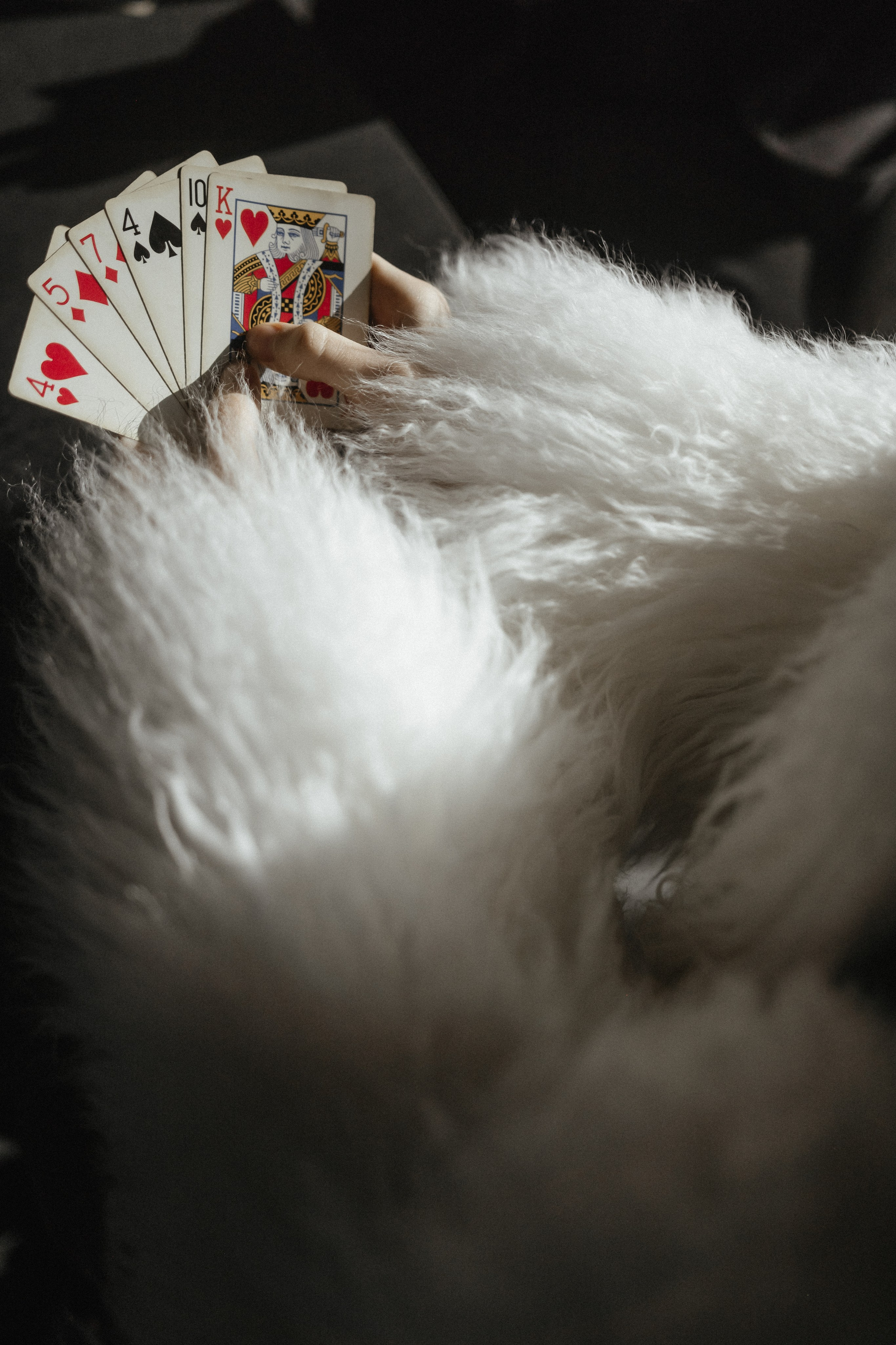 Свадебный фотограф Крым Москва. Свадебный и семейный фотограф и видеограф, Крым, Москва, Санкт -Петербург