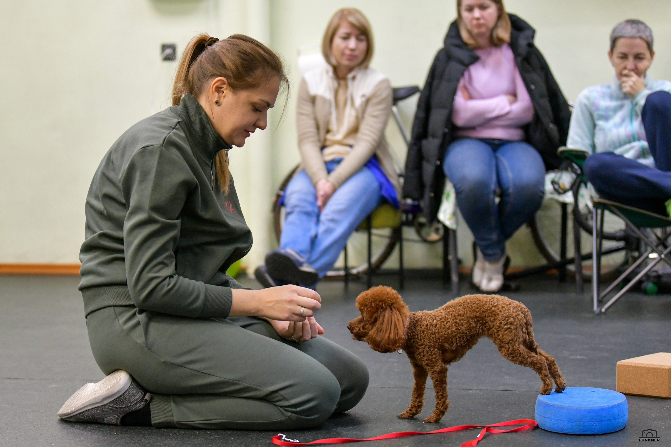 Кинологический клуб «Бодрый хвост». Свой взгляд через объектив