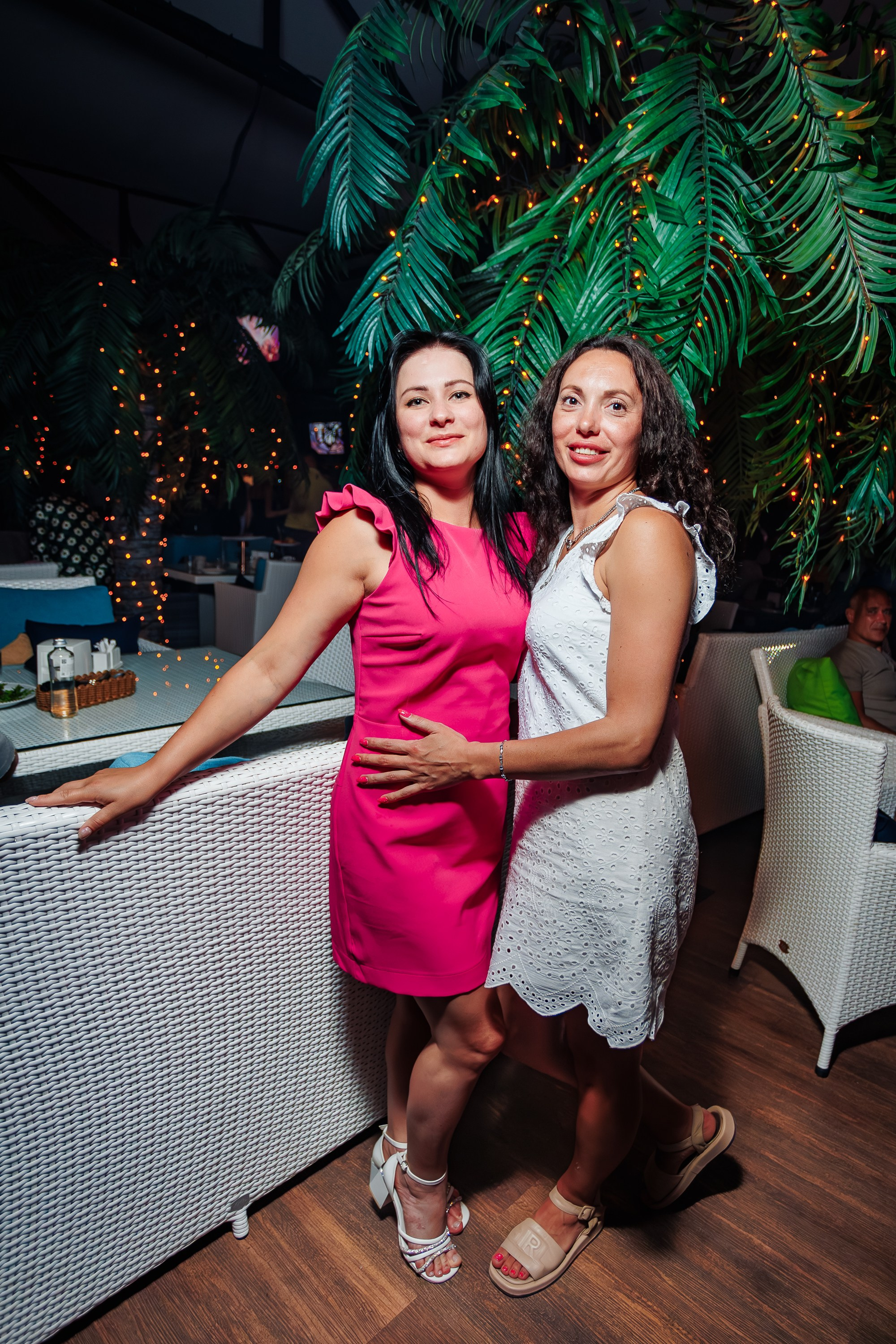 «Митя Фомин"_Чайка на пляже_Ялта_28.06.2025 г. Аминов Руслан | Фотограф