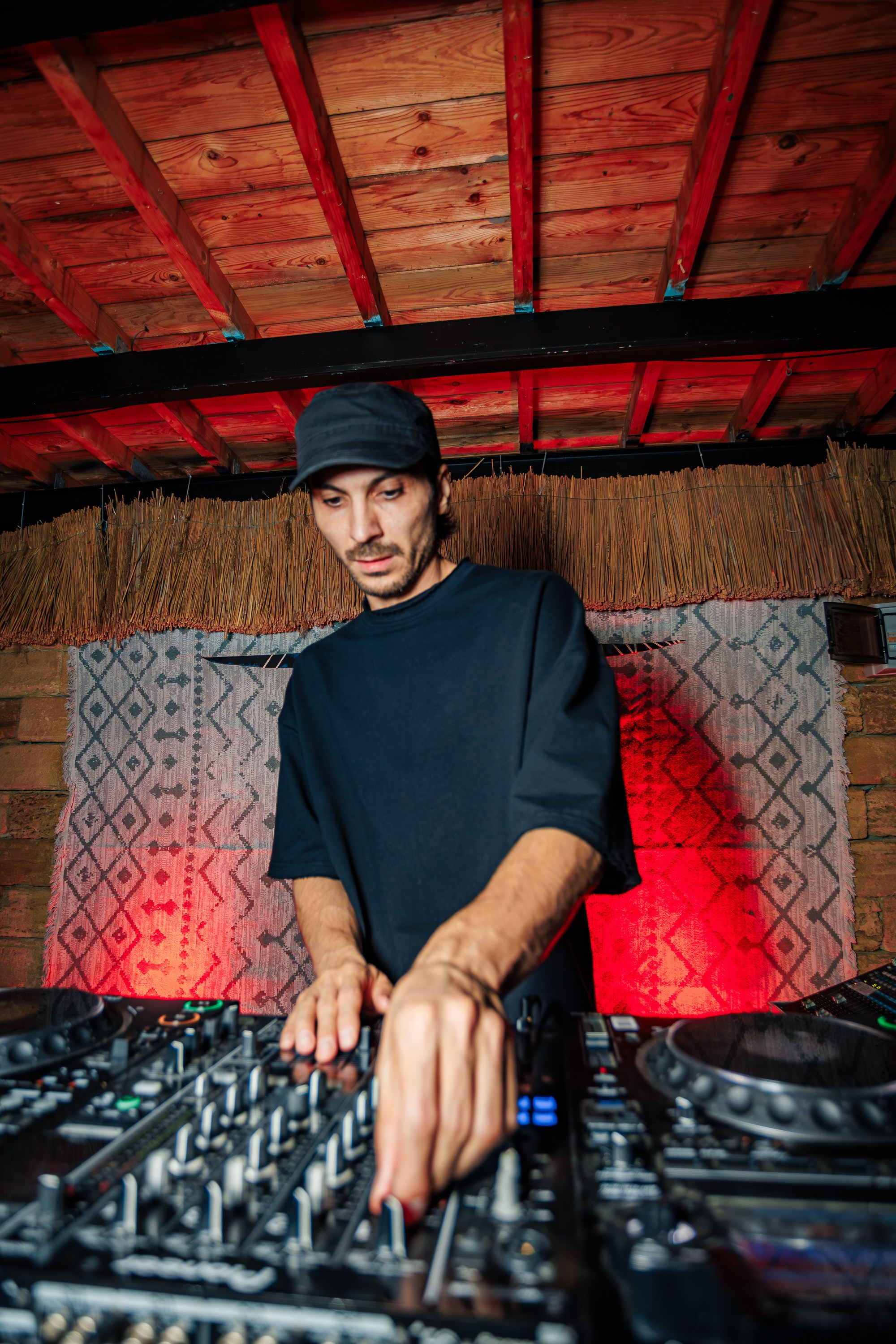 «Митя Фомин"_Чайка на пляже_Ялта_28.06.2025 г. Аминов Руслан | Фотограф