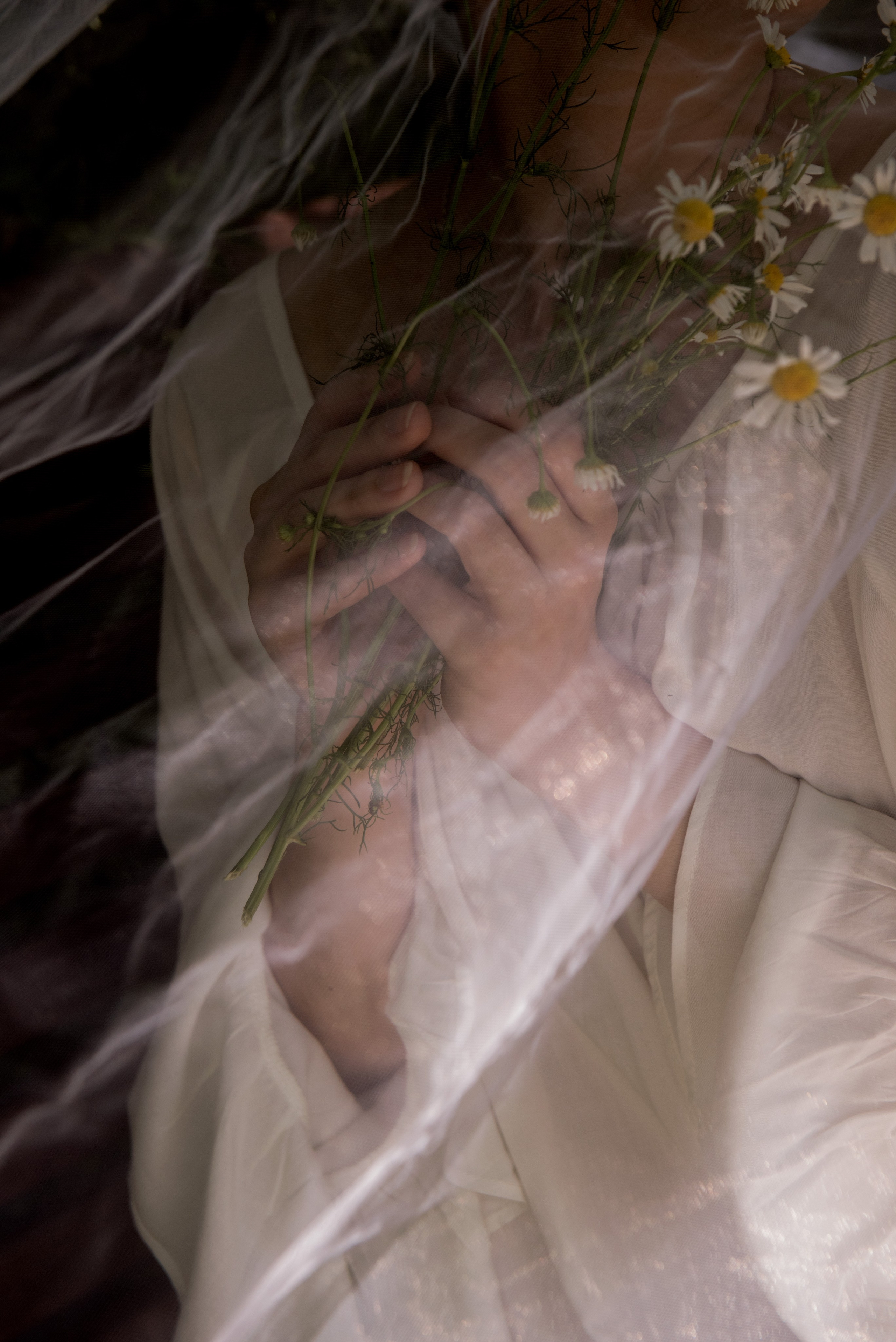 Анастасия. Стильный портретный и семейный фотограф в Москве Ника Артуньянц