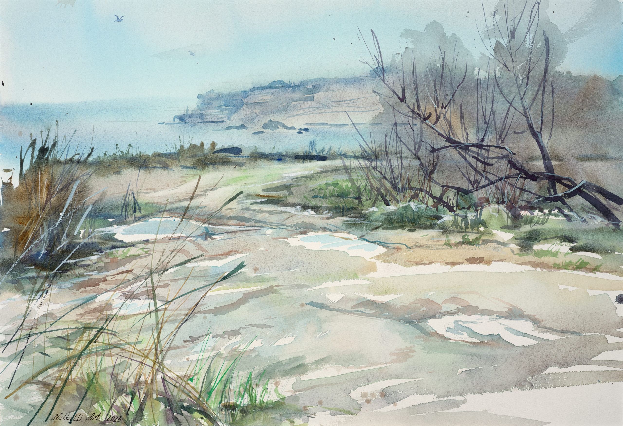 Заметки фотографа Сергея Денисенко