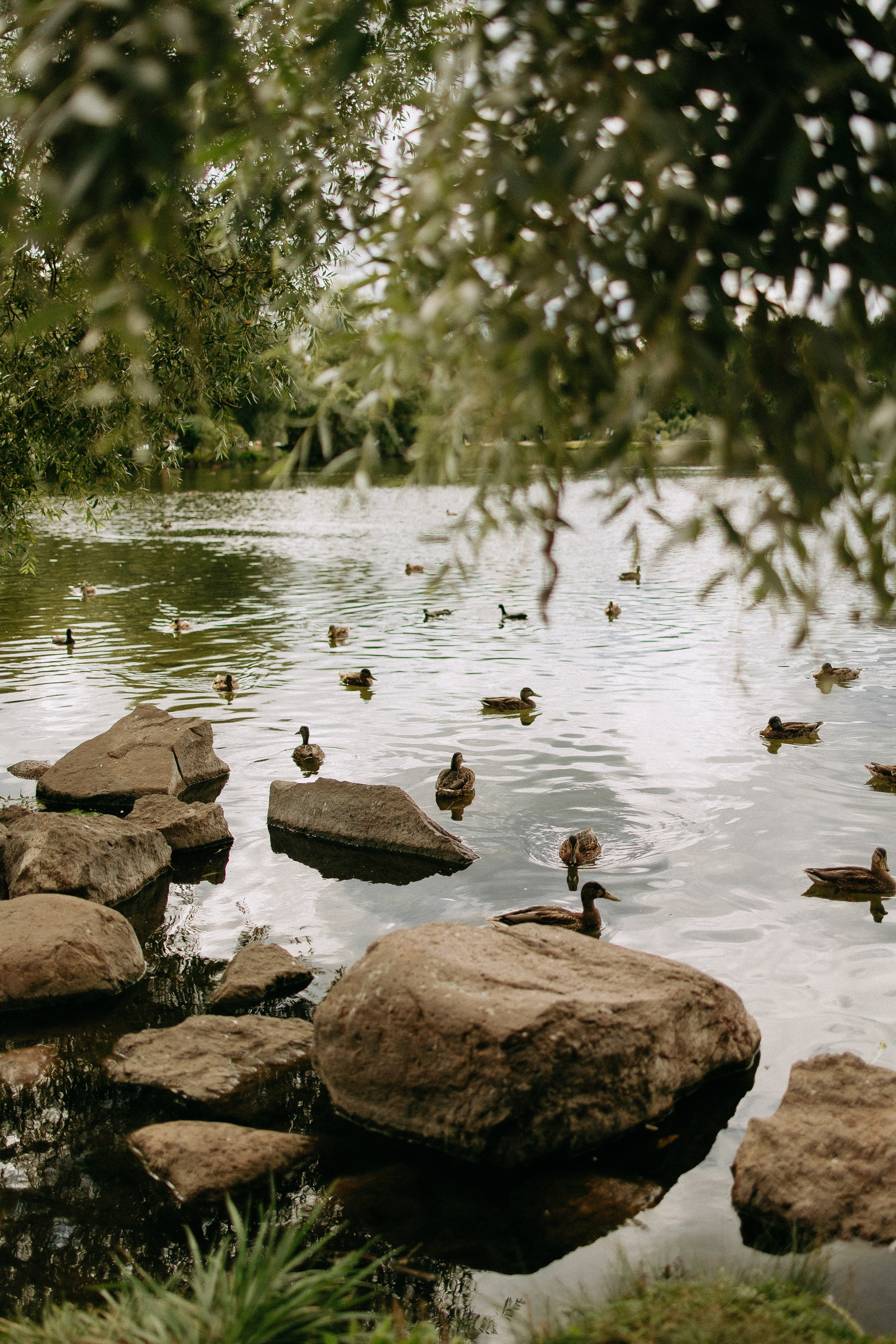 Илья и Ангелина. Свадебный и портретный фотограф в Санкт-Петербурге