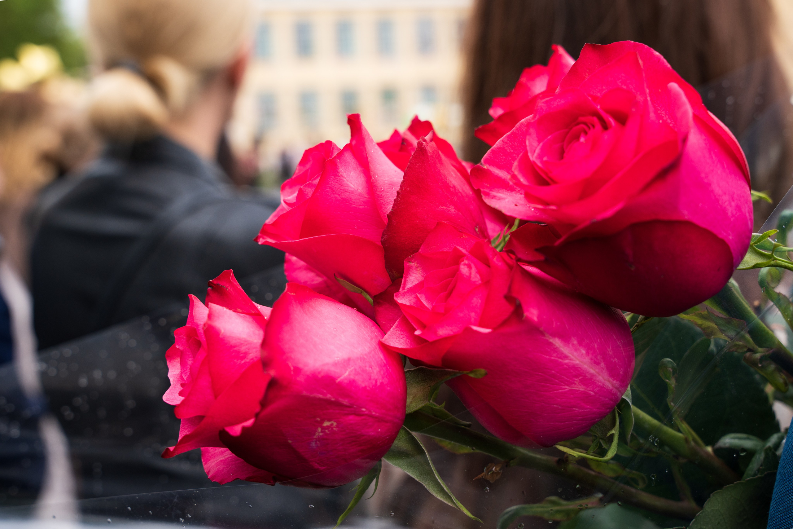 Последняя линейка. MUGMOD