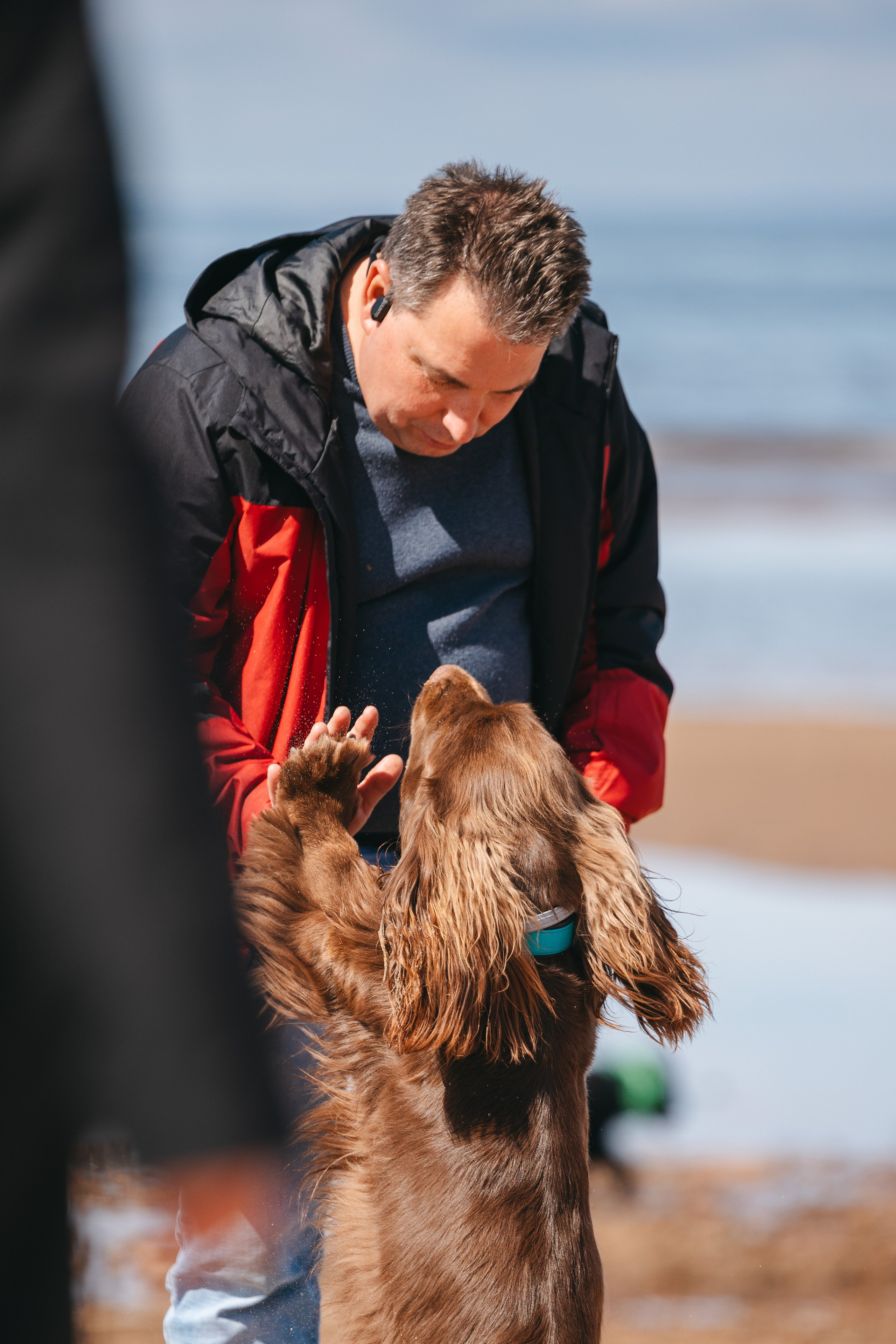 Спанимания. Фотограф анималист Осипчикова Мария