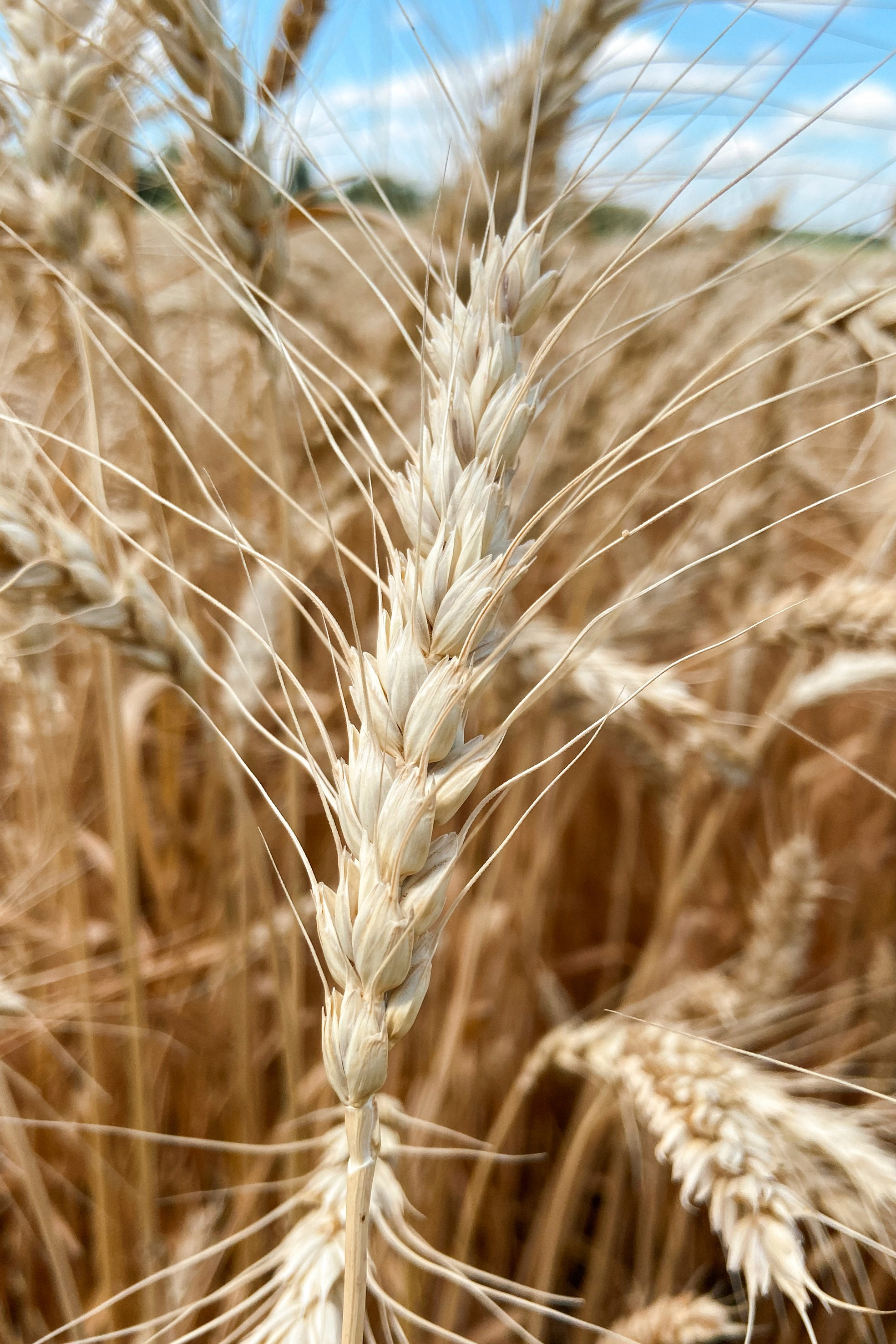 Природа. Команда фотографов Кристины Ивановой