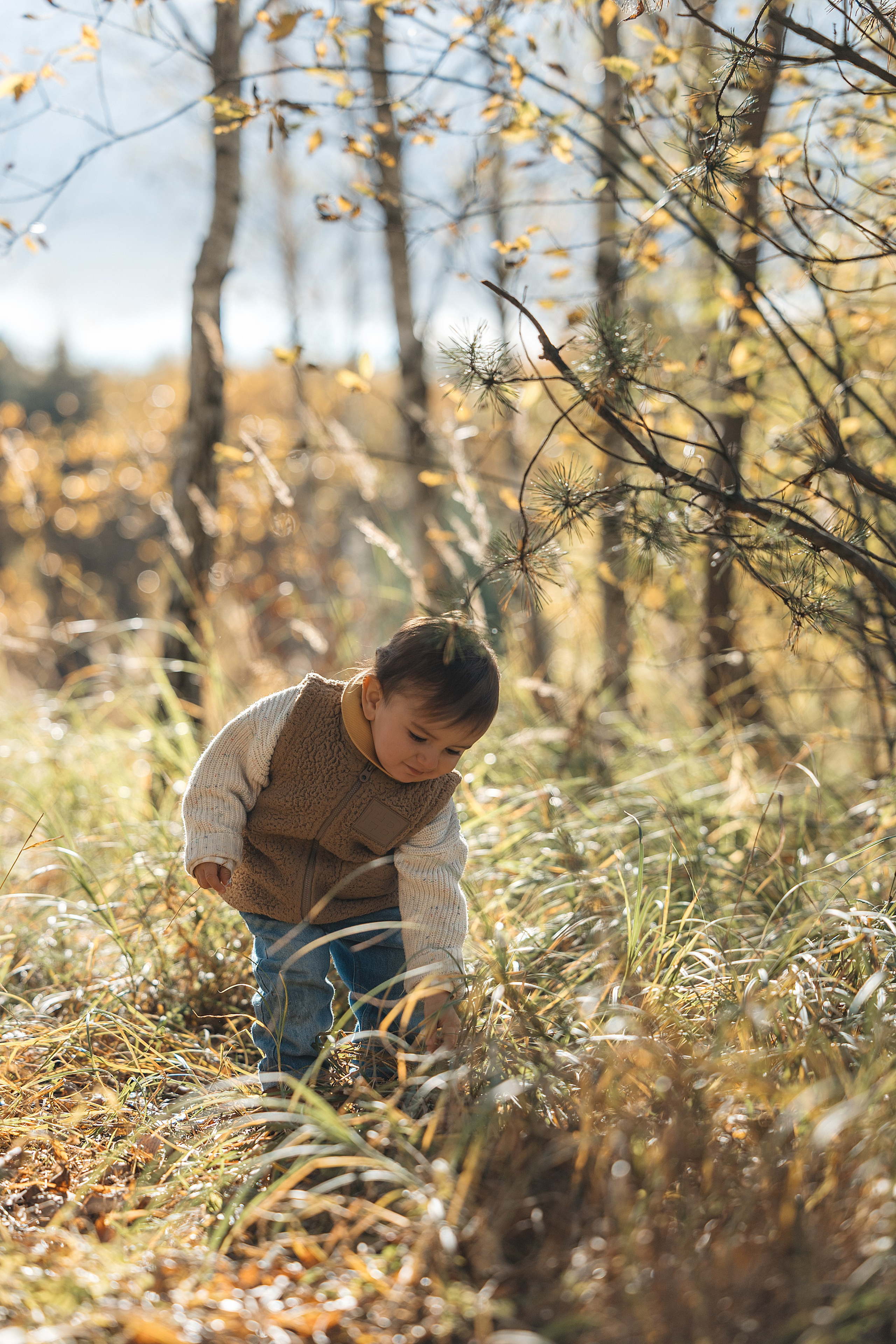Осенняя семейная съемка. Фотограф Анималист в Москве Анастасия Жучкова