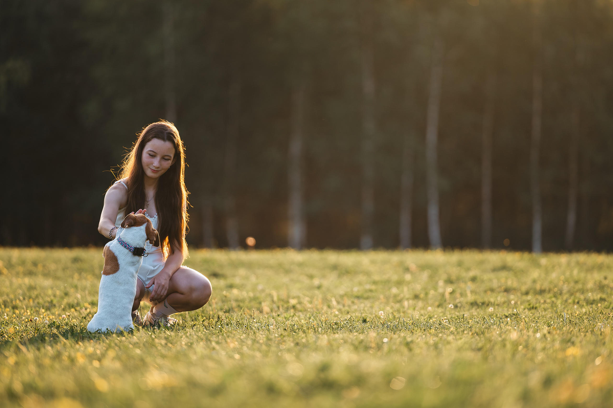 Юлиана и Риф (в обработке). Фотограф Анималист в Москве Анастасия Жучкова