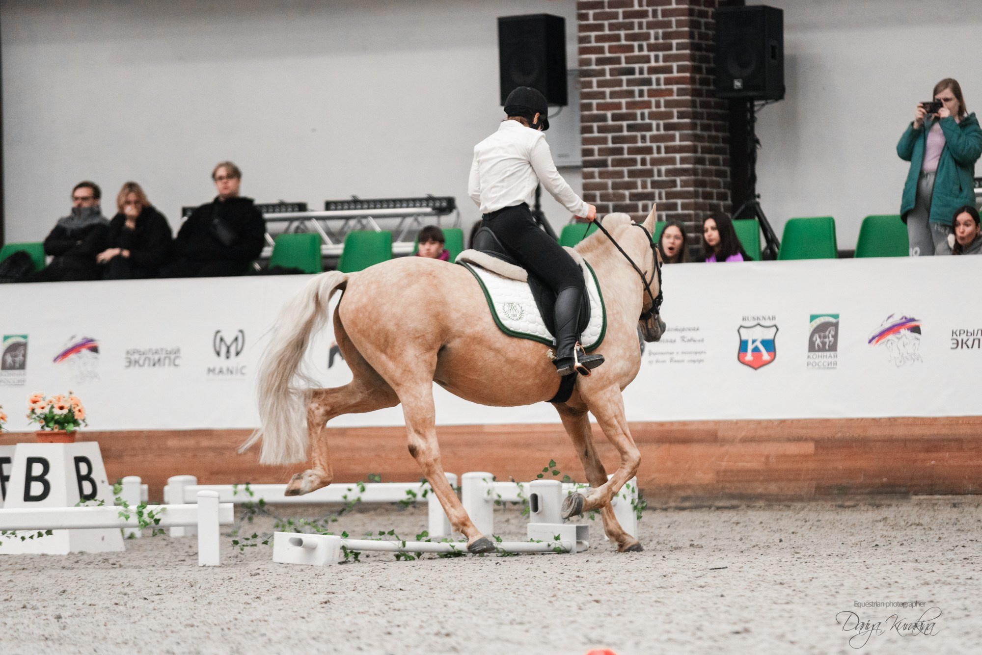 8-я международная выставка Конная Россия. Конный фотограф Куракина Дарья • Фотосессии с лошадьми