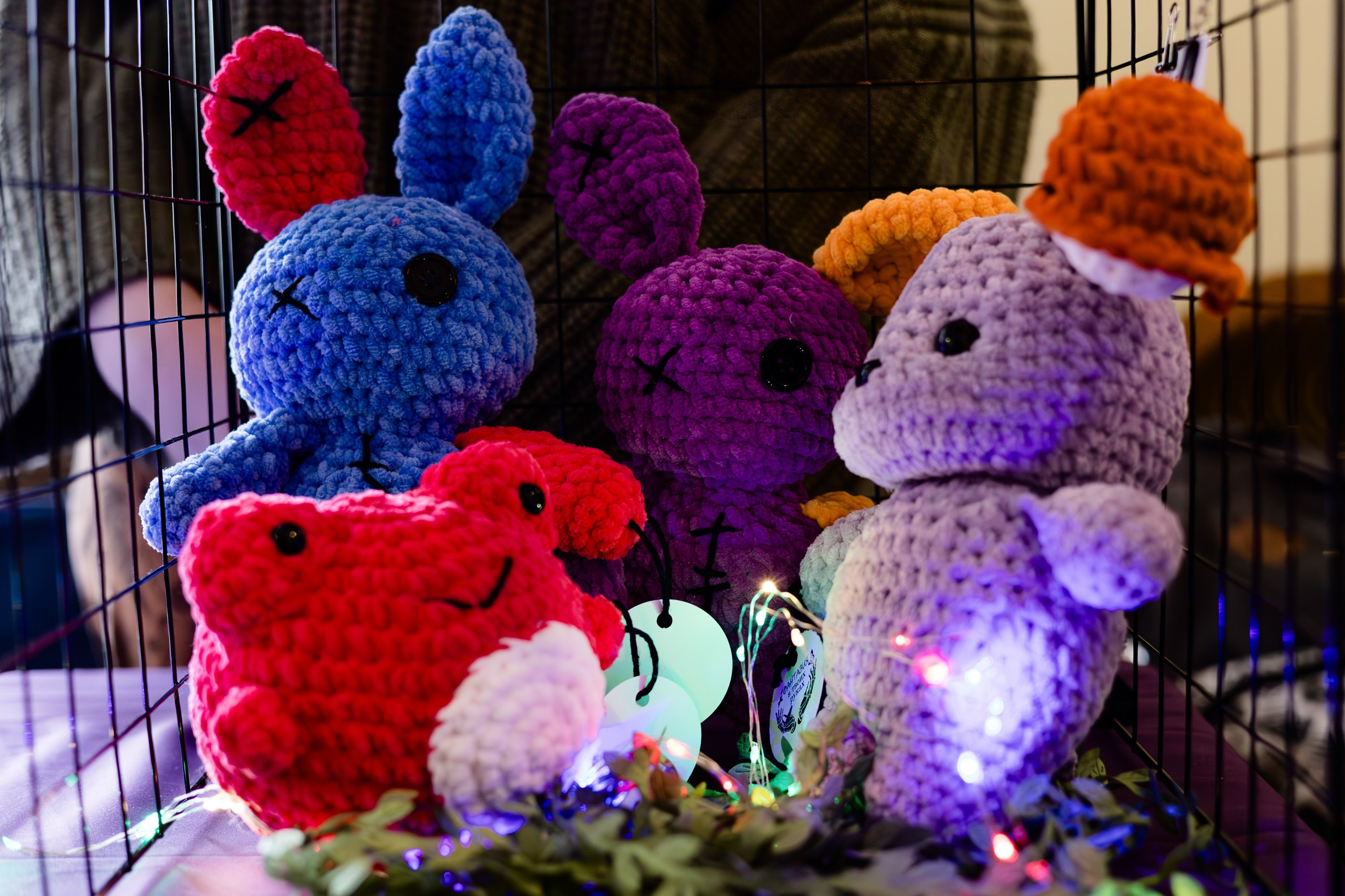 Frogs and Bunny — косплей фестиваль в Волгограде. Flint — photographer