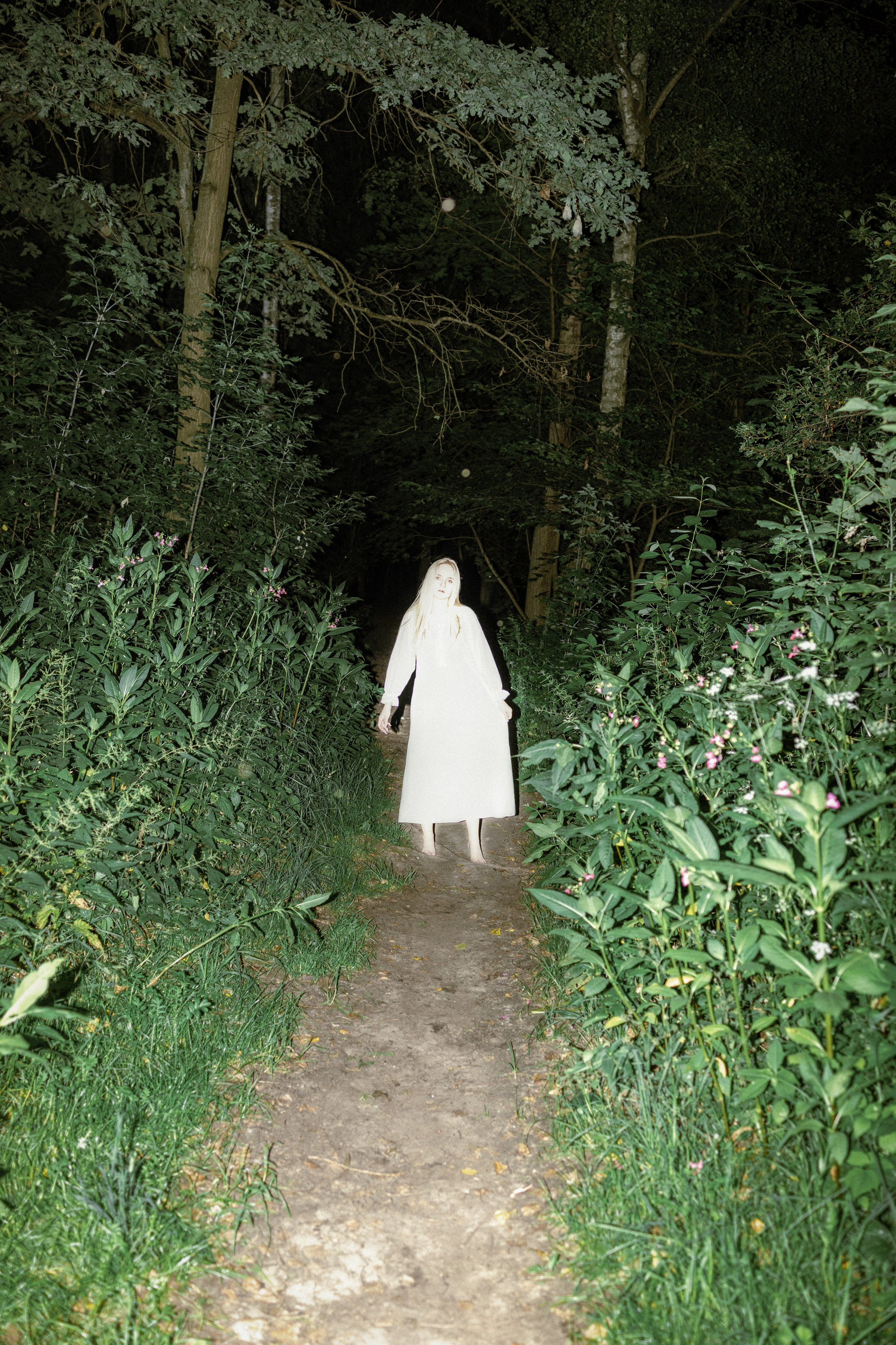 Woodland. Фото-художник